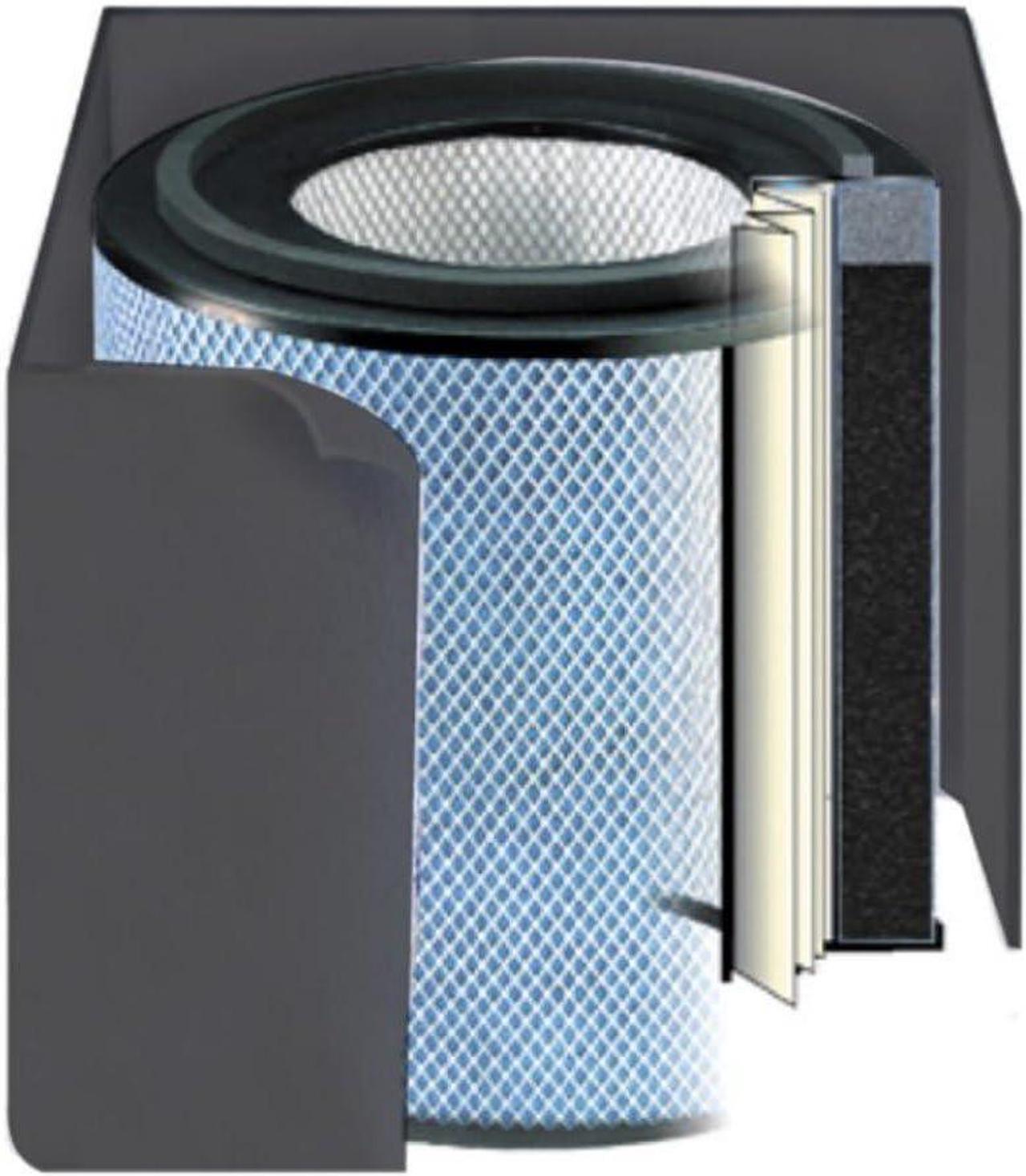 Main image of Austin Air Bedroom Machine FR402B Replacement Filter, White