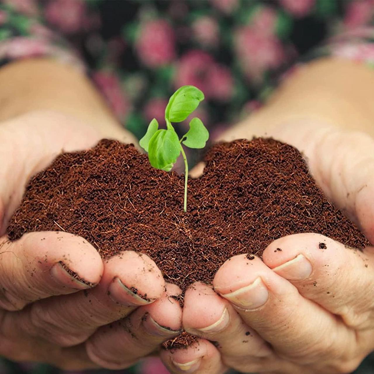 Alt view image 7 of 7 - Home and Country Coconut Fiber Compressed Coco Coir Brick. Coco Coir is Great to use as a Compost Starter for Your Home Garden. Coco Coir Bricks Provide Organic Alternative to Peat Moss for Plants.