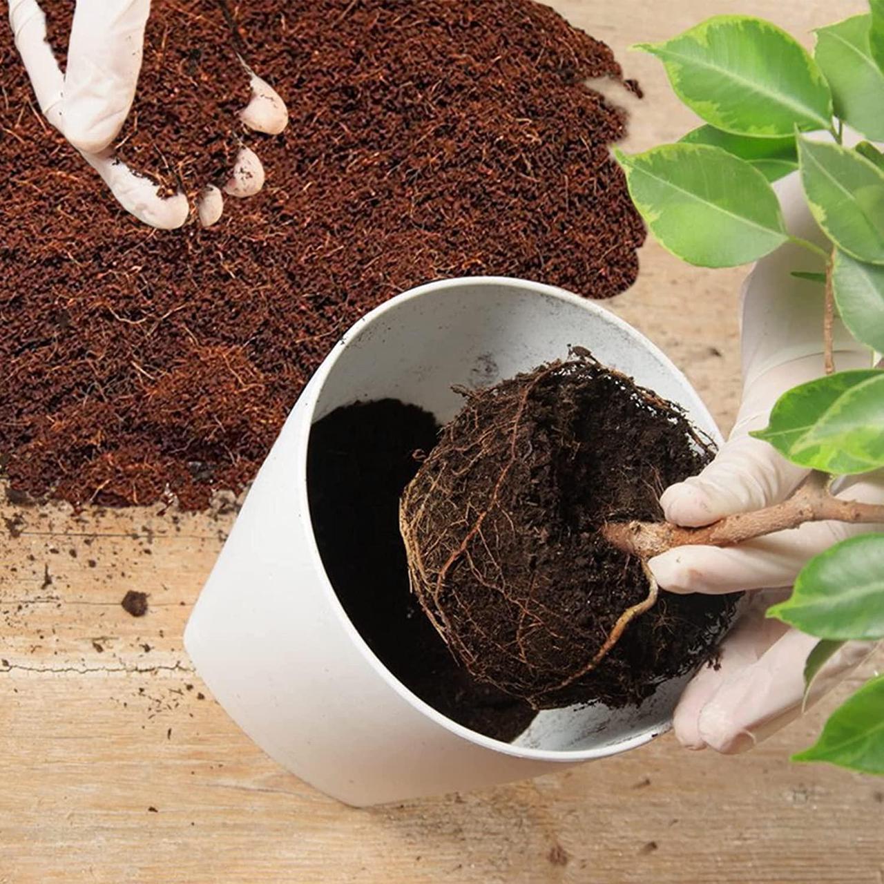 Alt view image 5 of 7 - Home and Country Coconut Fiber Compressed Coco Coir Brick. Coco Coir is Great to use as a Compost Starter for Your Home Garden. Coco Coir Bricks Provide Organic Alternative to Peat Moss for Plants.
