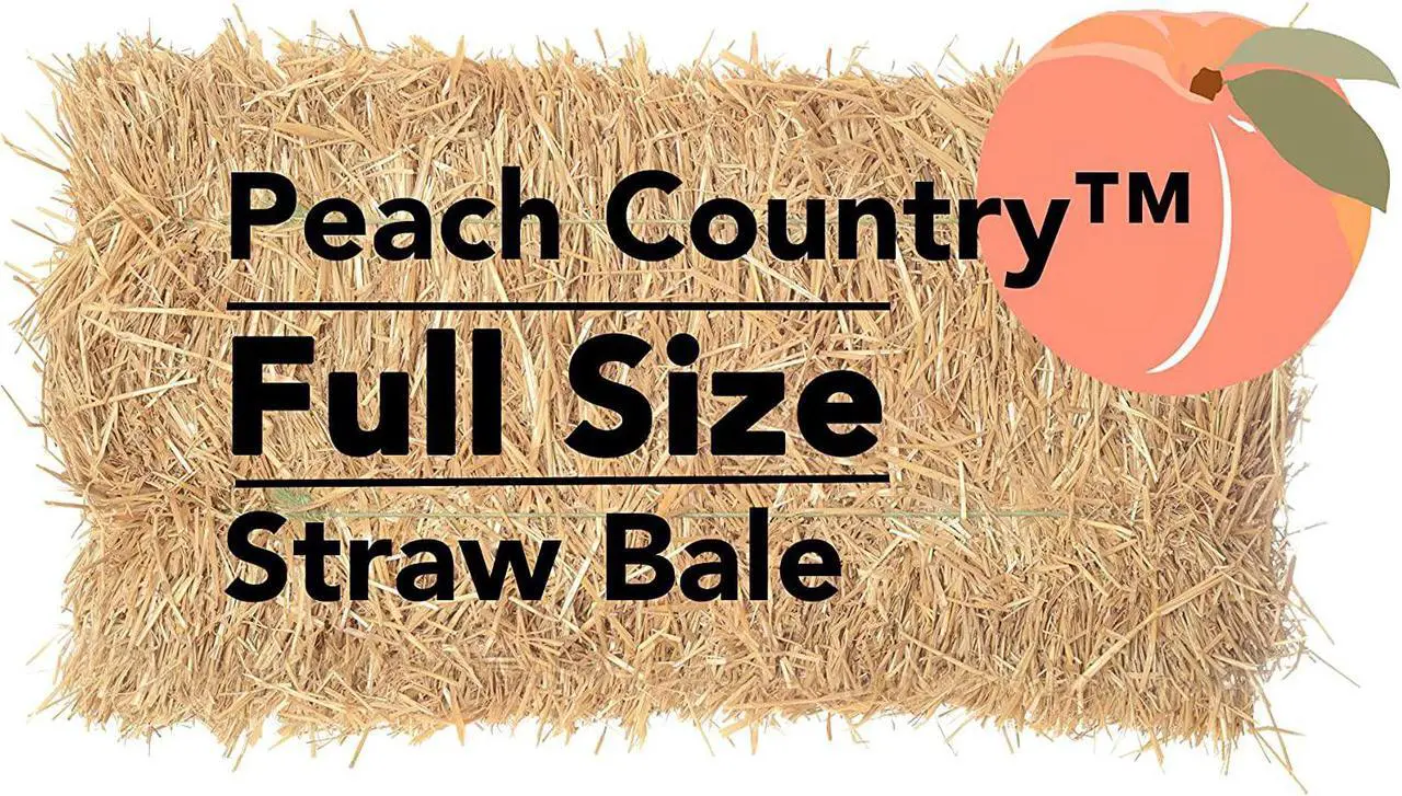 Main image of Peach Country Real Full Size Straw Bale for: Autumn Fall Decorations, Bedding, Over Seeding- 35" x 19" 12"