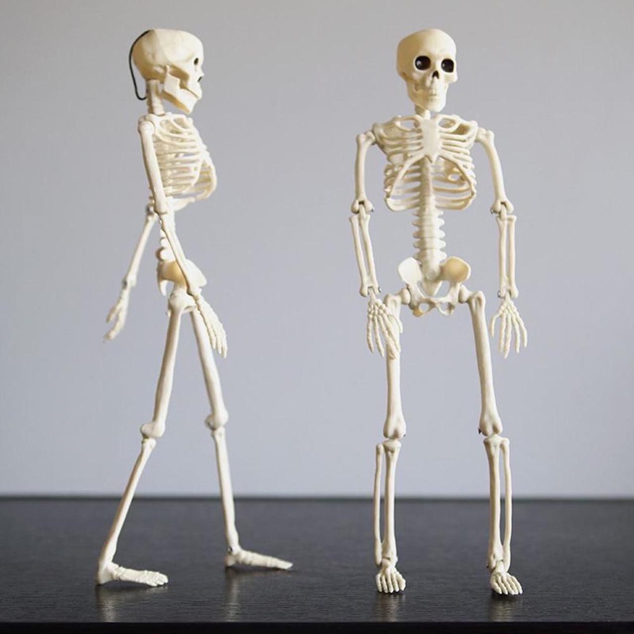 Acaigel 2 Pcs Skeletons Decorations Full Body Posable Joints 16 Inch Skeletons