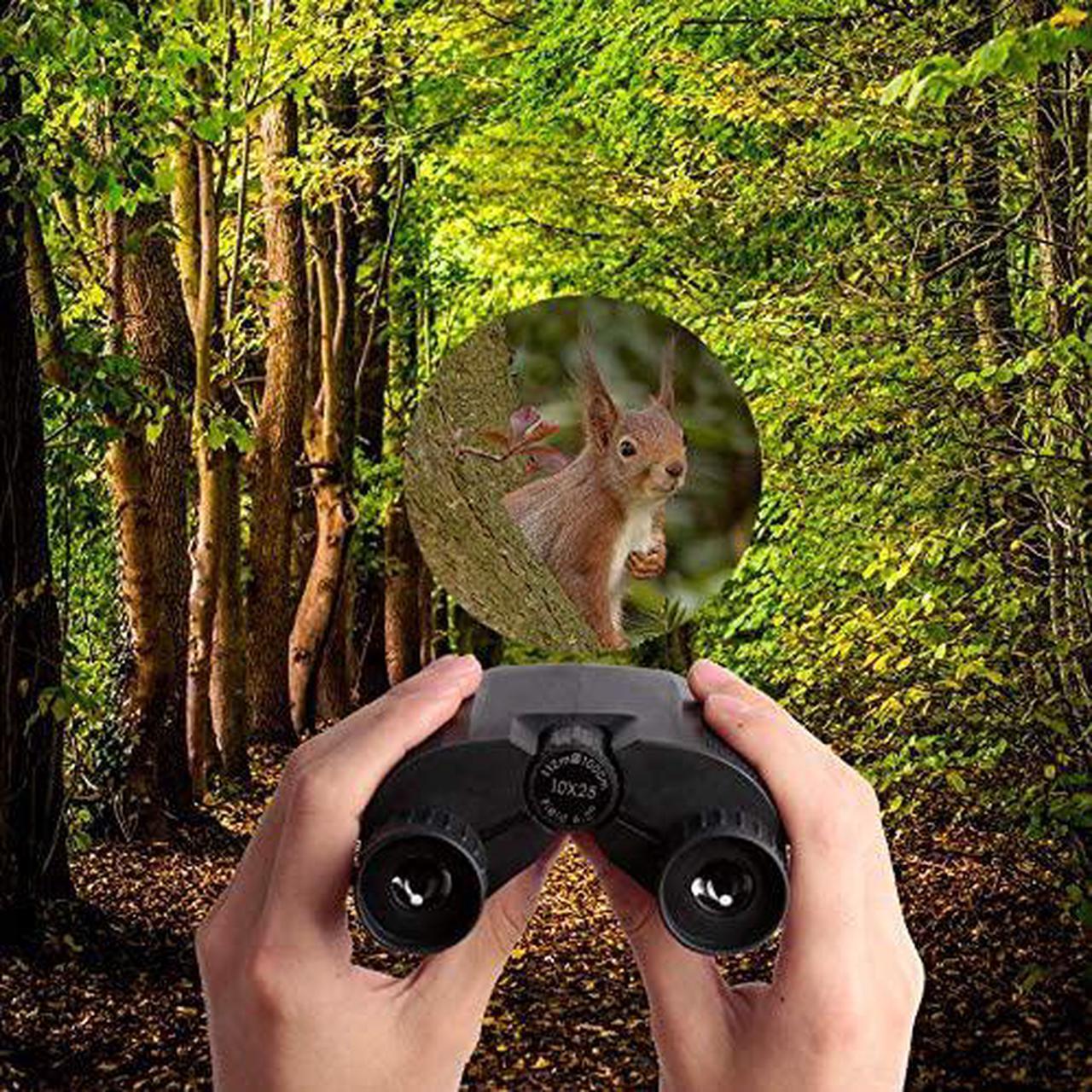 Alt view image 4 of 7 - Binoculars for Adults, High Powered Compact 10x25 Binoculars Pocket for Concerts, Theater, Travel, BAK-4 Roof Prism FMC Lens Kid Binoculars for Bird Watching (0.53lb), SkyGenius