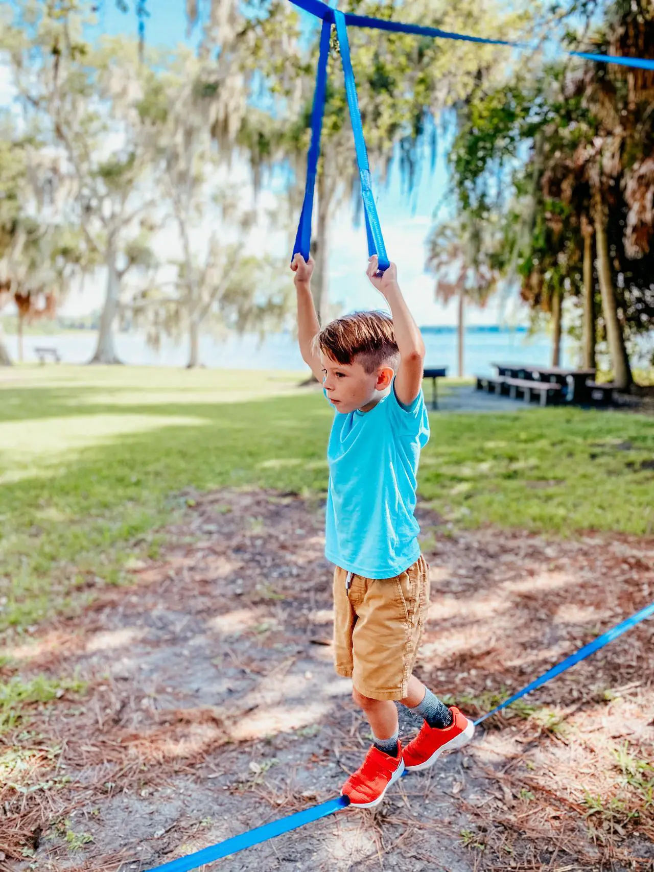 Alt view image 6 of 6 - Gentle Booms Sports Ninja Warrior Obstacle Course Ninja Line Included with 65ft Blue Slackline Backyard Tree Training Equipment Outdoor Play Gym