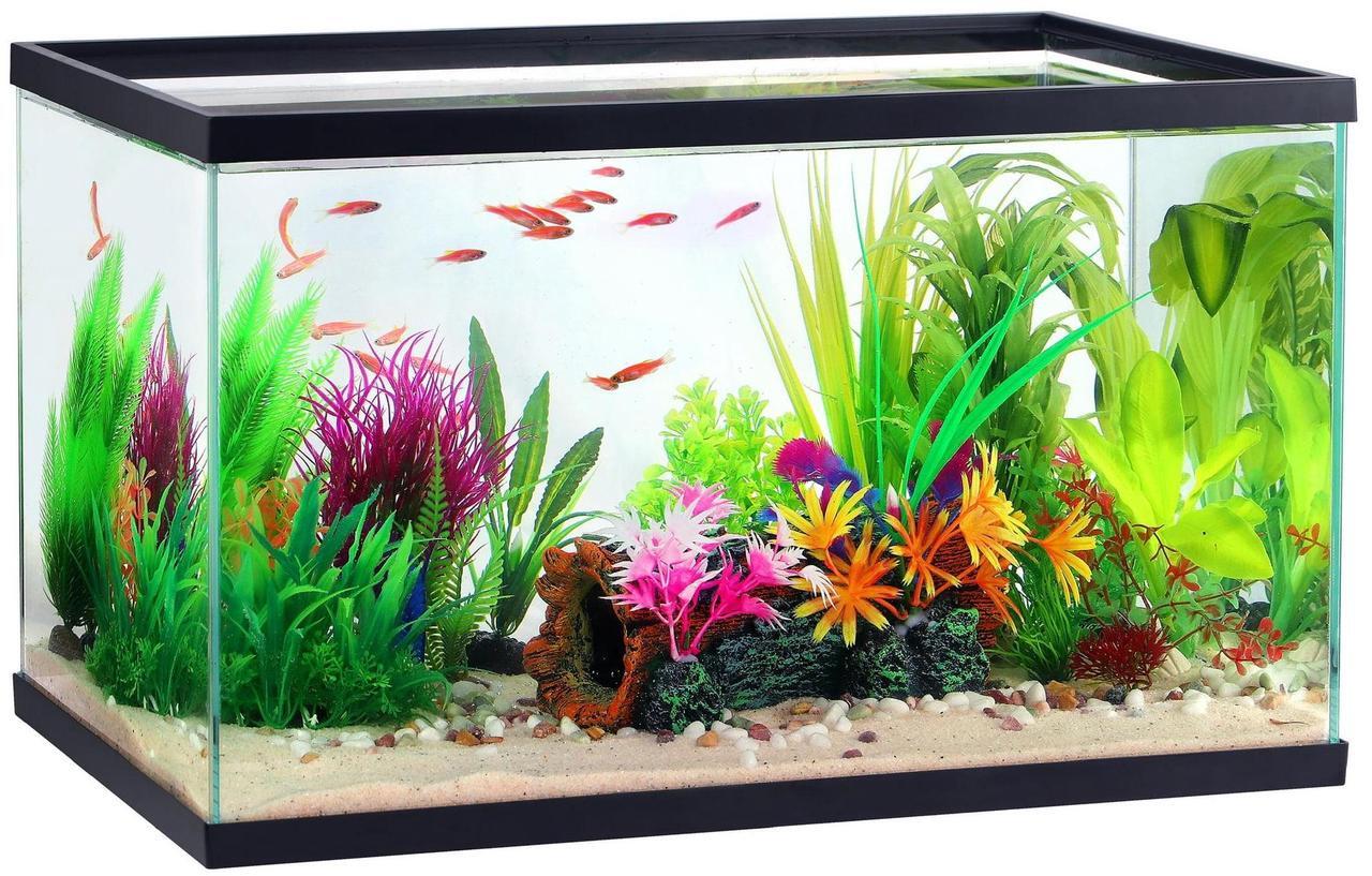 Main image of Aqua Culture 10 Gallon Transparent Glass Tank