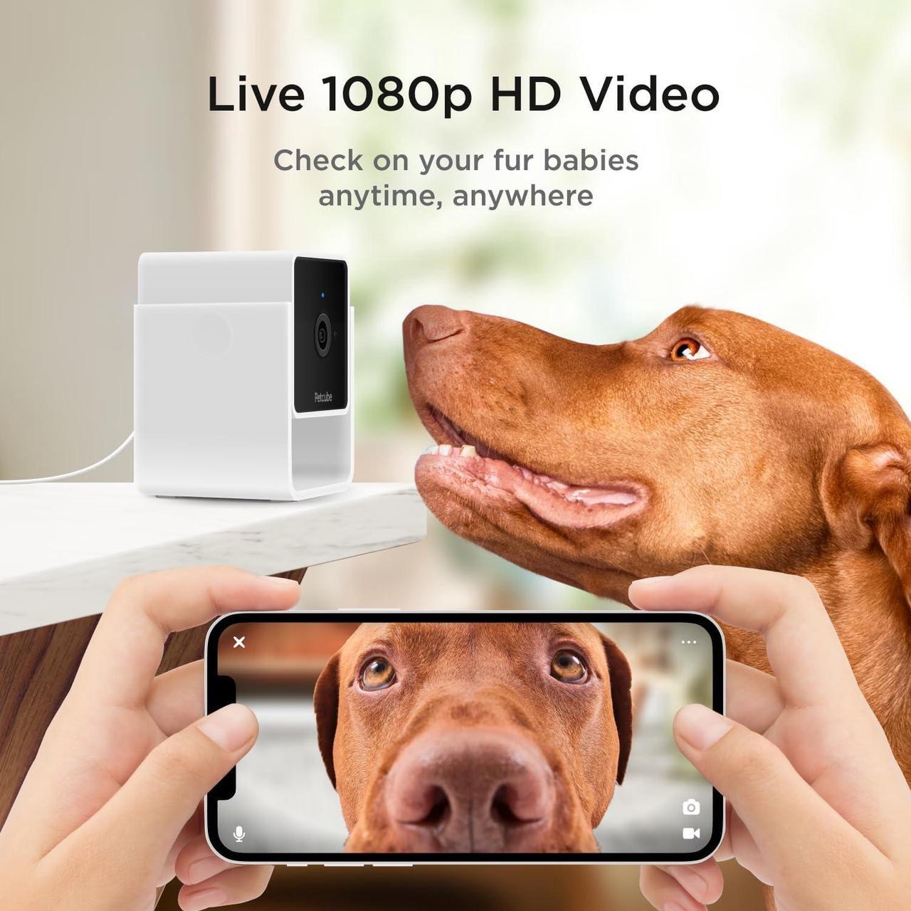Alt view image 2 of 7 - Petcube Cam The Pack of 3 | Indoor Wi-Fi Pet and Security Camera with Phone App, Pet Monitor with 2-Way Audio and Video, Night Vision, 1080p HD Video and Smart Alerts for Ultimate Home Security