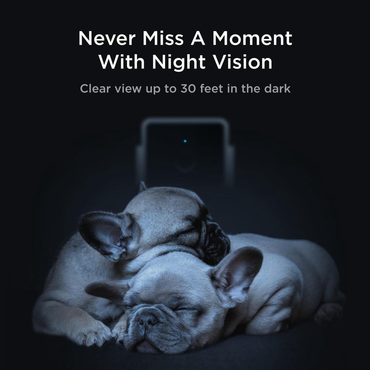 Alt view image 5 of 7 - Petcube Cam The Pack of 3 | Indoor Wi-Fi Pet and Security Camera with Phone App, Pet Monitor with 2-Way Audio and Video, Night Vision, 1080p HD Video and Smart Alerts for Ultimate Home Security