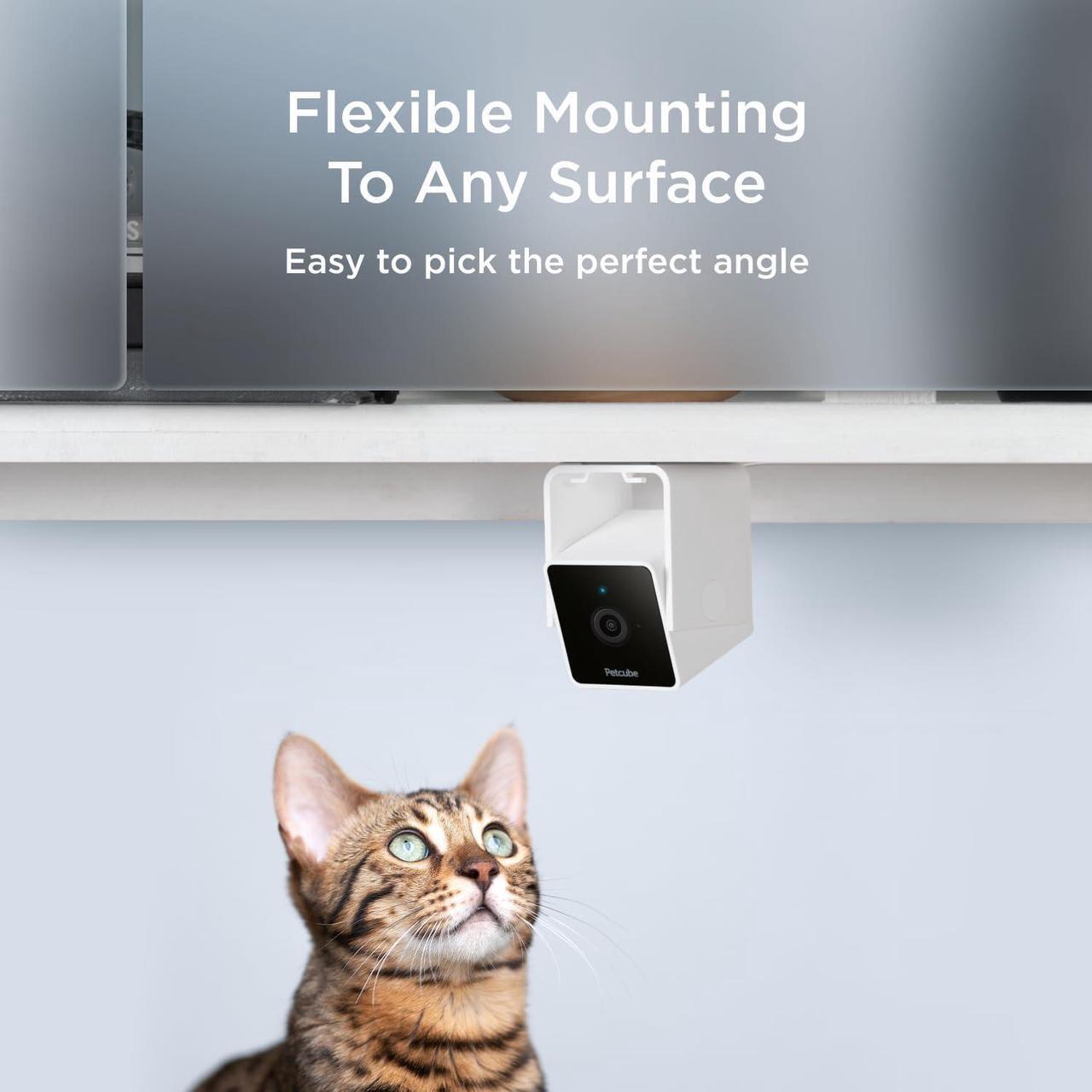 Alt view image 6 of 7 - Petcube Cam The Pack of 3 | Indoor Wi-Fi Pet and Security Camera with Phone App, Pet Monitor with 2-Way Audio and Video, Night Vision, 1080p HD Video and Smart Alerts for Ultimate Home Security