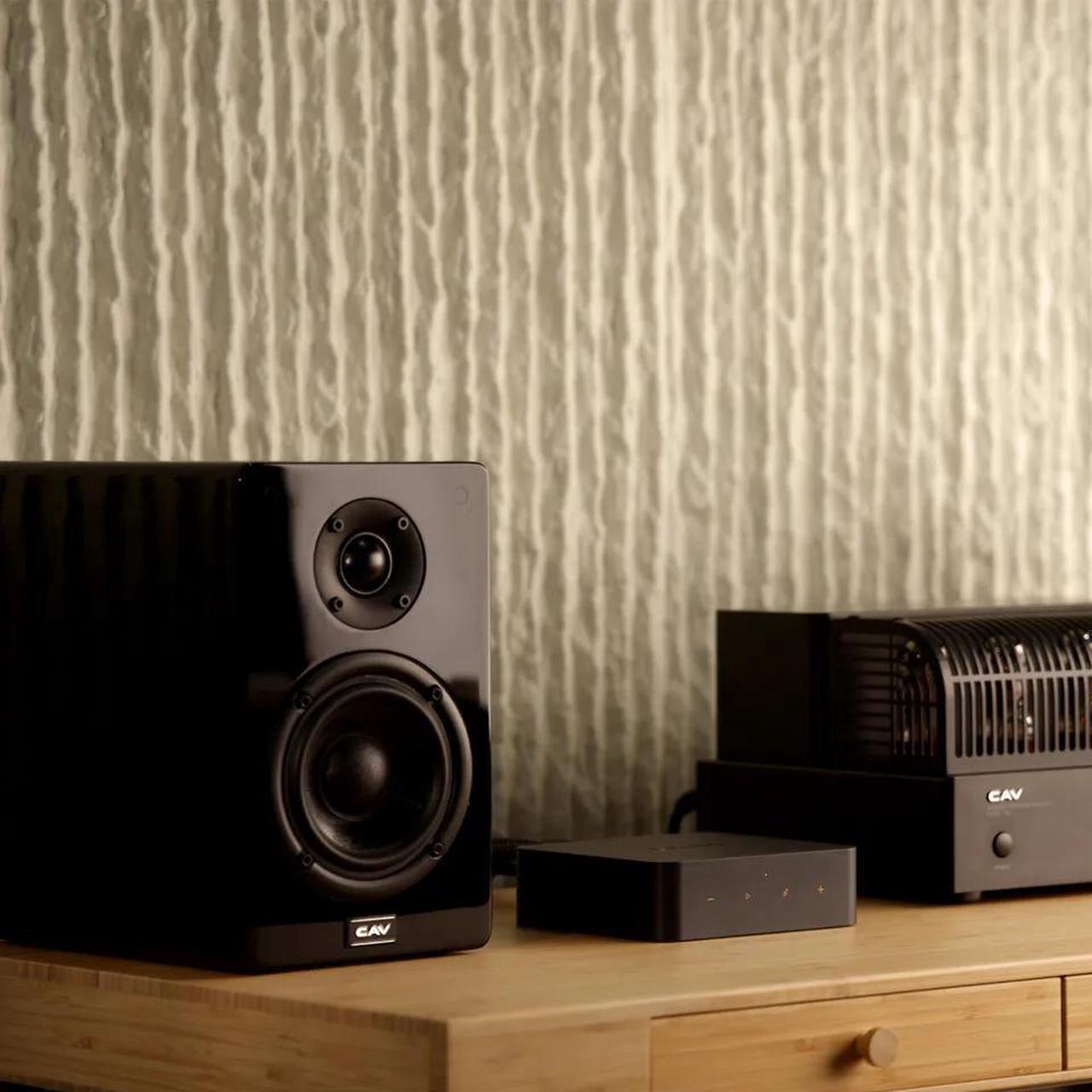 Alt view image 4 of 7 - WiiM Pro Plus Multiroom Streamer and Preamp with Premium AKM DAC