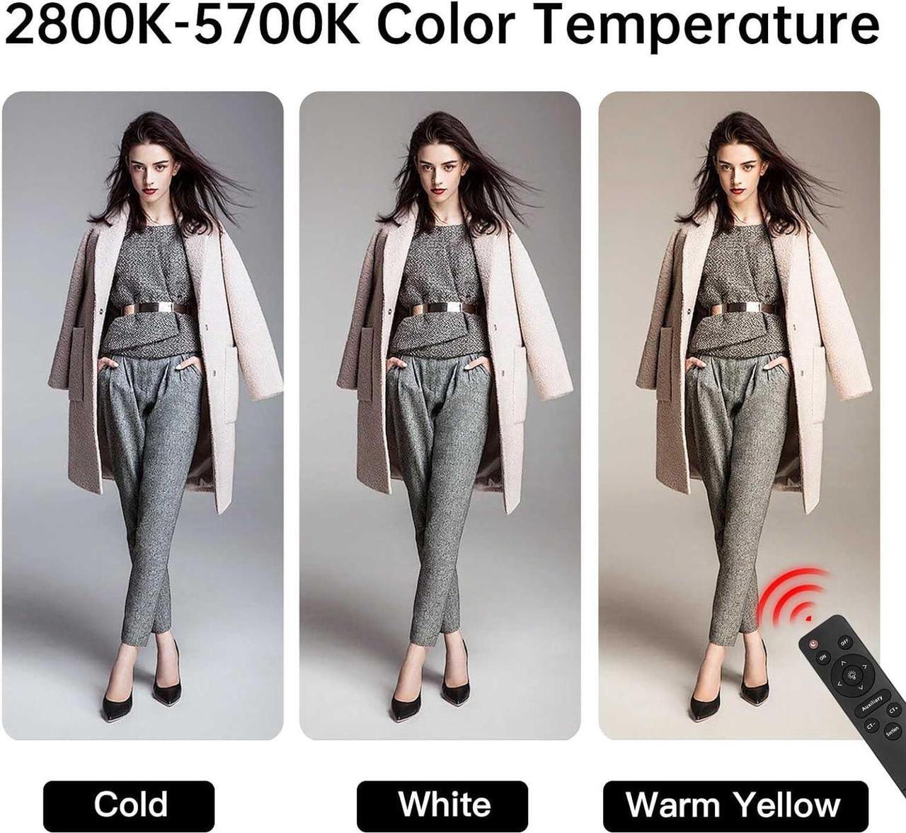 Alt view image 4 of 7 - Softbox Lighting Kit Photography Soft Box 20'' X 28'', 85W Studio 6000k Bulb LED Light, 6.7'Light Stand, Remote Set, BEIYANG