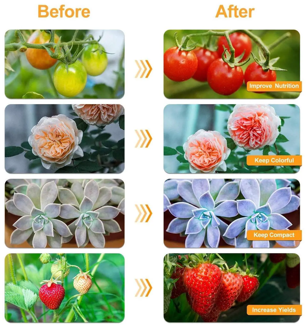Alt view image 5 of 7 - Bailink Grow Light Plant Lights for Indoor Plants, Full Spectrum Plant Grow Lights, 10 Dimmable Levels Auto ON & Off with 3/9/12H Timer