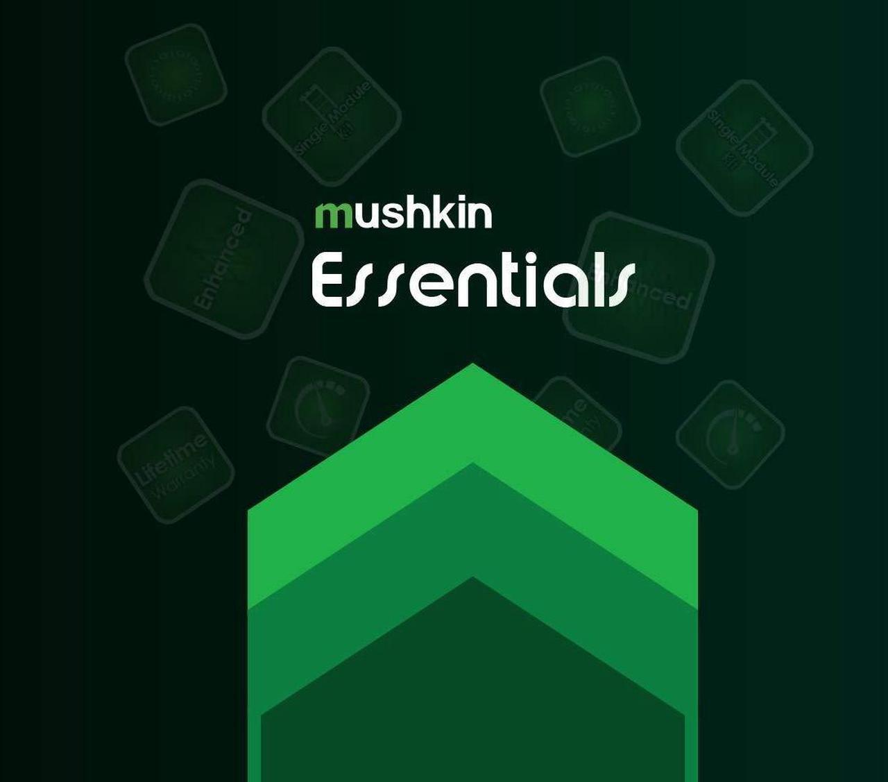 Alt view image 5 of 5 - Mushkin Essentials - DDR4 Laptop DRAM - 32GB (2x16GB) SODIMM Memory Kit - 2933MHz (PC4-23400) CL-21 - 260-pin 1.2V Notebook RAM - Dual-Channel - Low-Voltage - (MES4S293MF16GX2)