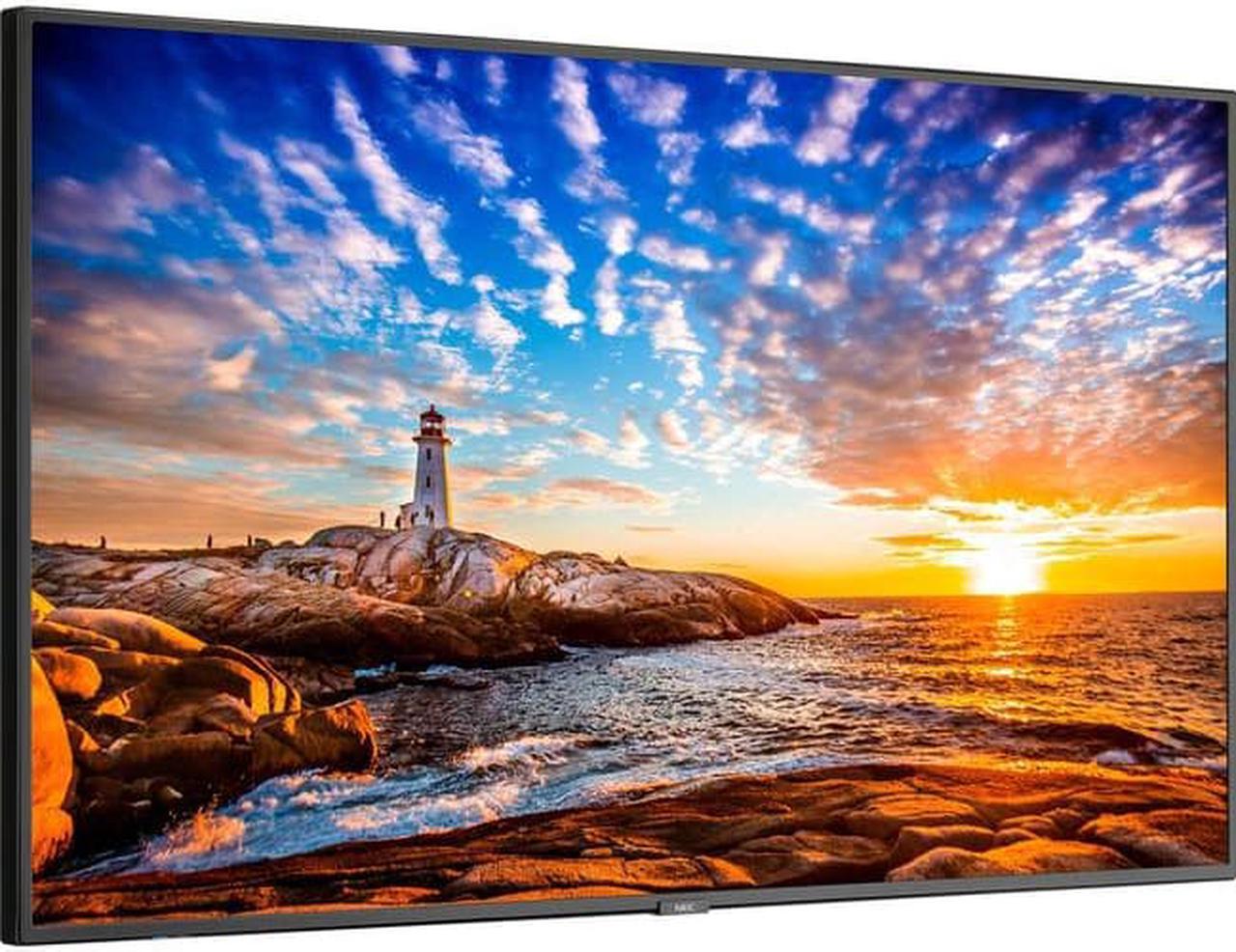 Sharp NEC Display 55" Wide Color Gamut Ultra High Definition Professional Display