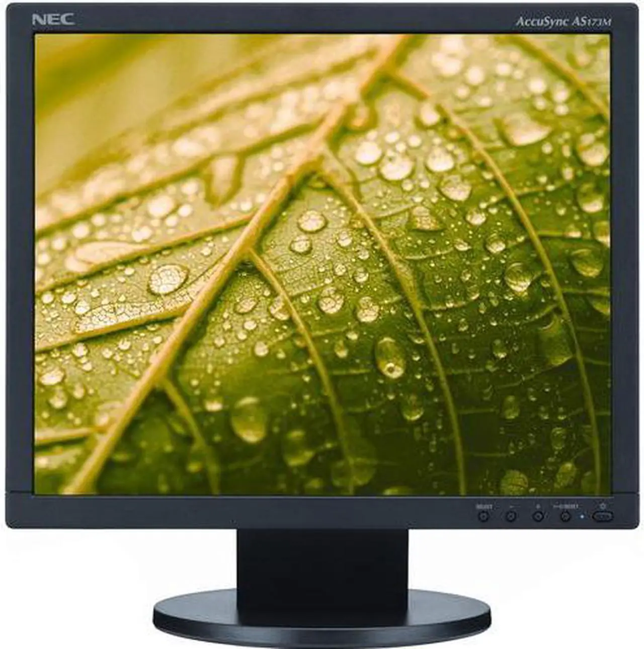 Alt view image 5 of 11 - NEC Display Solutions AS173M-BK 17" SXGA 1280 x 1024 D-Sub, HDMI, DisplayPort Monitor