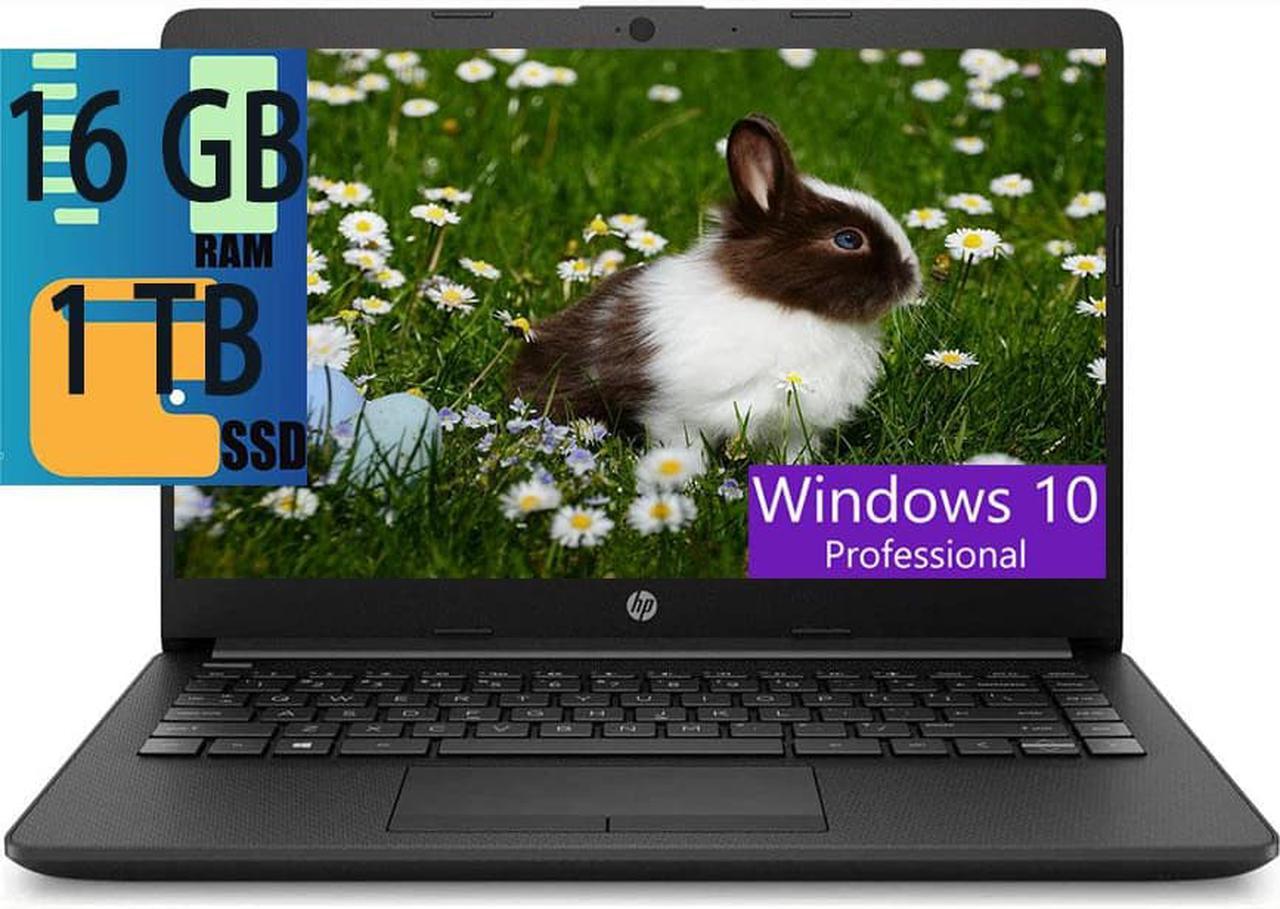 HP 14 Business Notebook Computer, AMD Athlon3050U 2-Cores Processor, AMD Radeon Graphics, 16GB DDR4  1TB PCIe SSD, 14" HD Anti-Glare Display, WiFi Bluetooth, Webcam Type-C HDMI, Windows 10 Pro