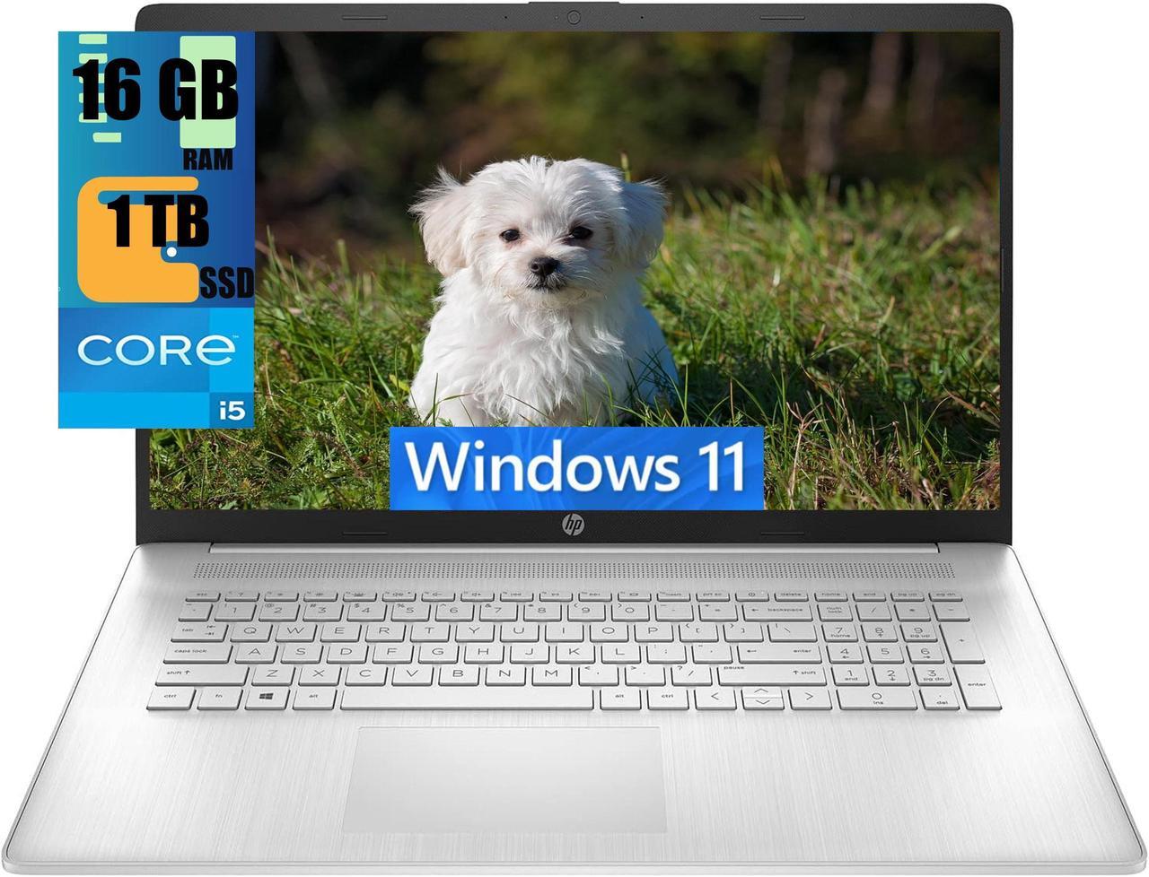 Main image of HP 17 Laptop, 17.3" FHD (1920 x 1080) Display, Intel Core i5-1135G7 2.40GHz Quad-Core Processor, Intel Iris Xe Graphics, 16GB DDR4  1TB PCIe SSD, Wi-Fi 5, Bluetooth, HDMI, Webcam, Windows 11