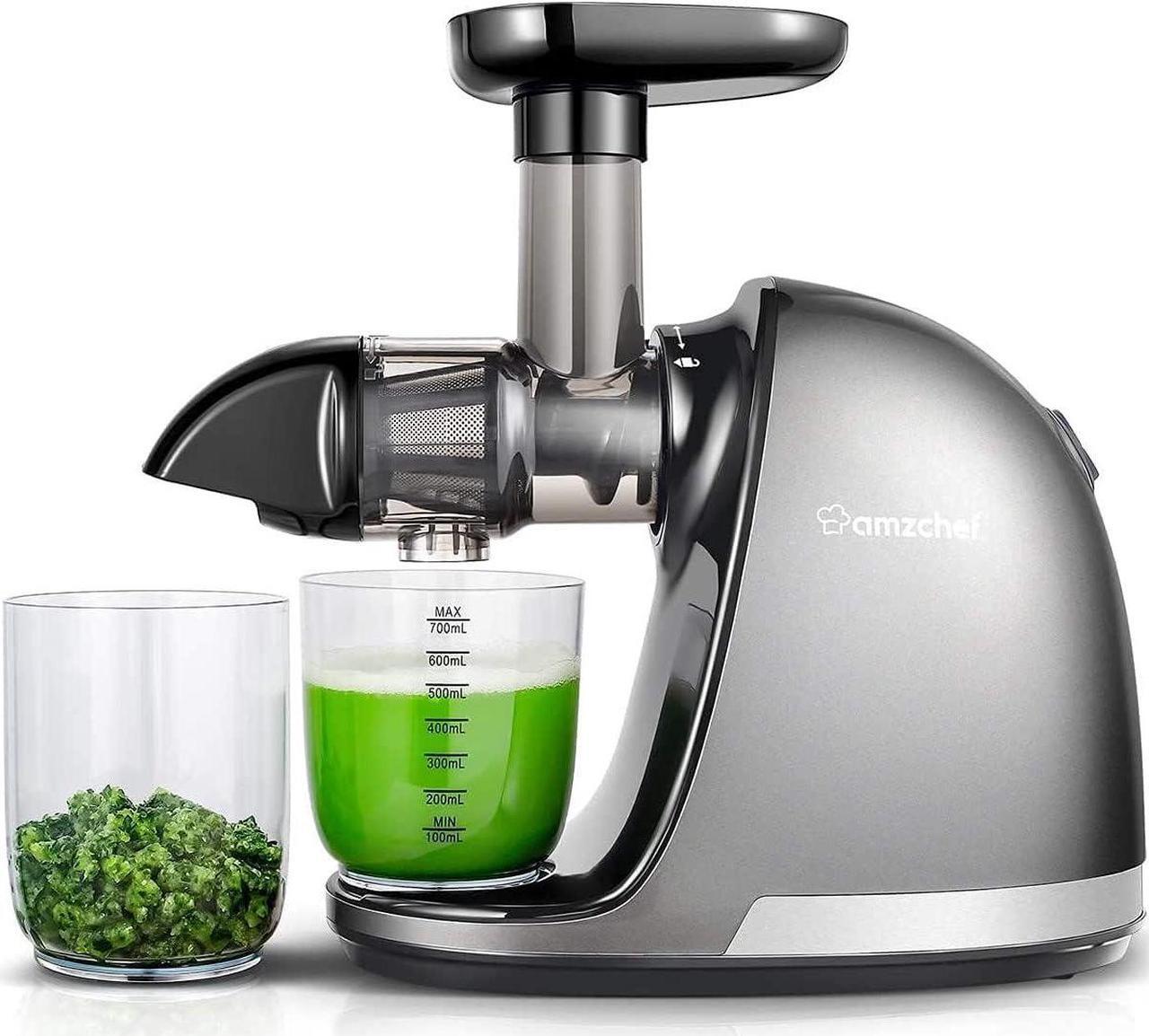 Main image of Masticating Juicer Machines, Slow Cold Press Juicer with Reverse Function, High Juice Yield, Easy Clean with Brush,Recipes for High Nutrient Fruits and Vegetables, Gray(Updated)