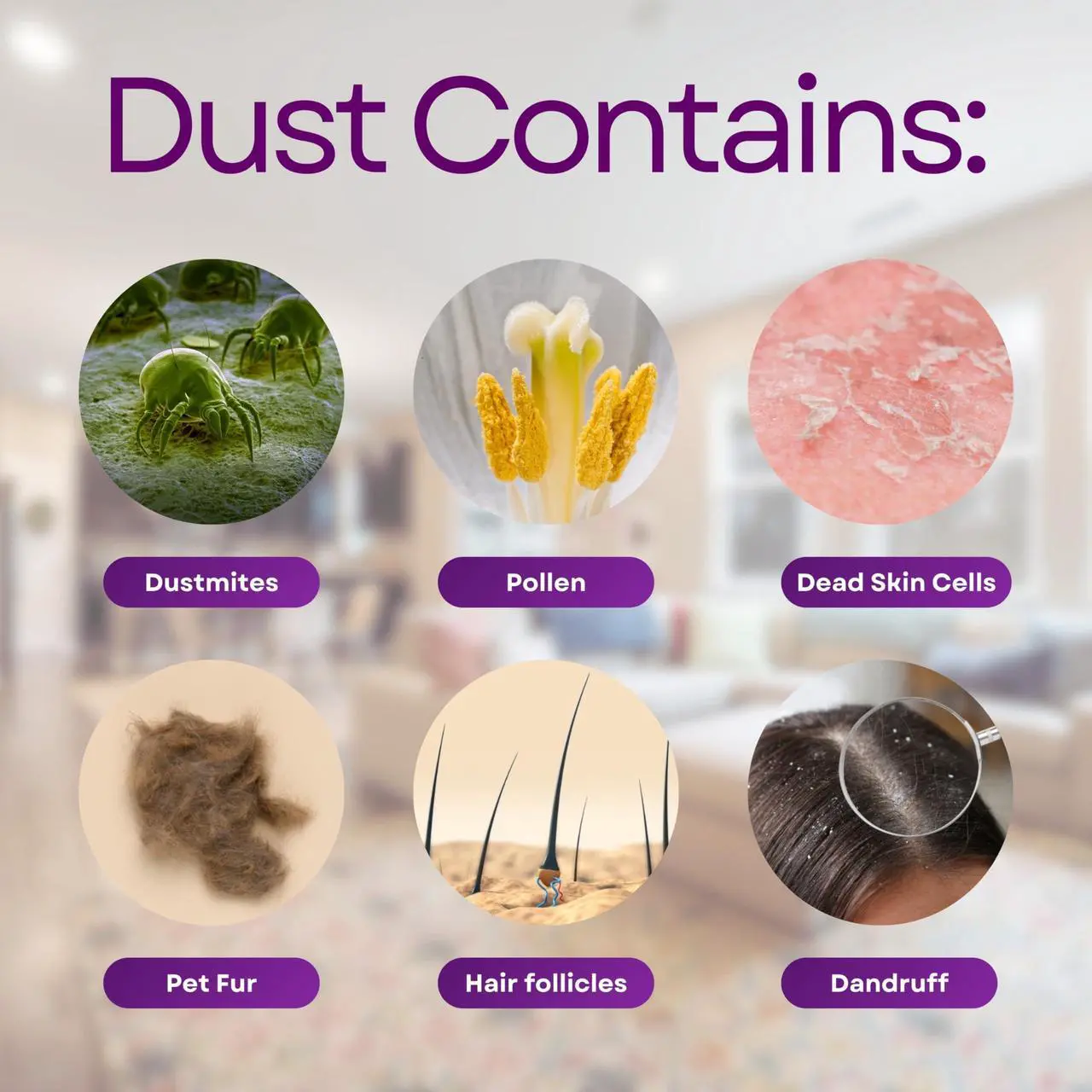 Alt view image 4 of 7 - Dust Mite Spray - Kills Dust Mites, Carpet Mites, Rodent Mites, Bird & Scabies Mites - Pet & Child Friendly - Eco-Friendly - 24oz (unscented)