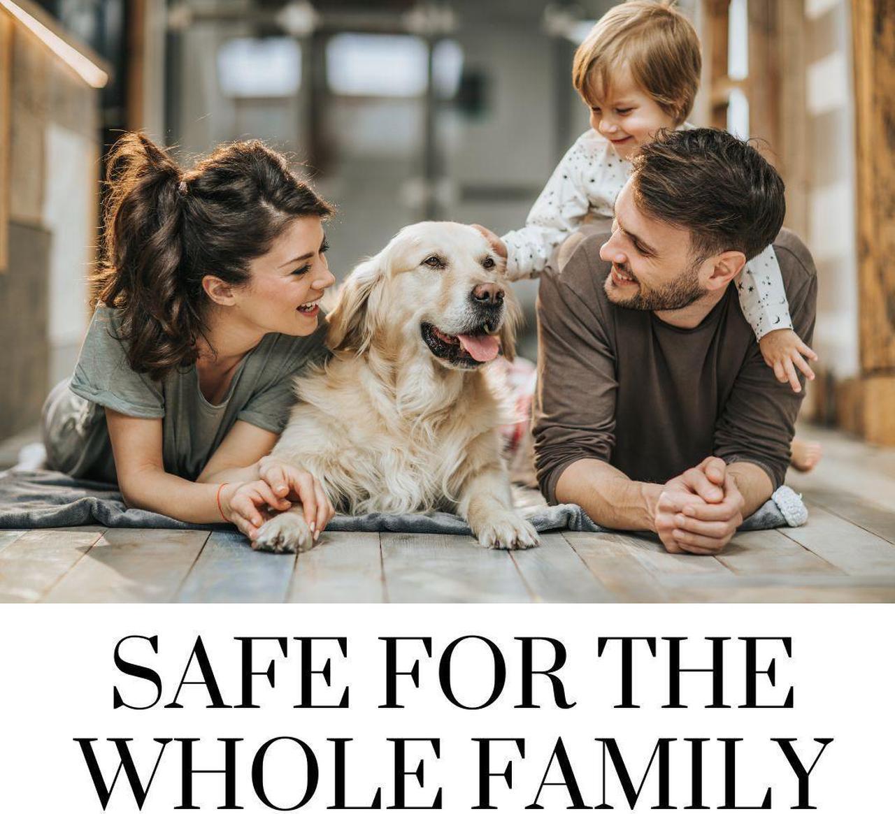 Alt view image 3 of 6 - Hygea Natural Lice Spray for Home, Furniture, Bedding - Natural Treatment for Head Lice - Family Friendly and pet Safe - Stain and Scent Free