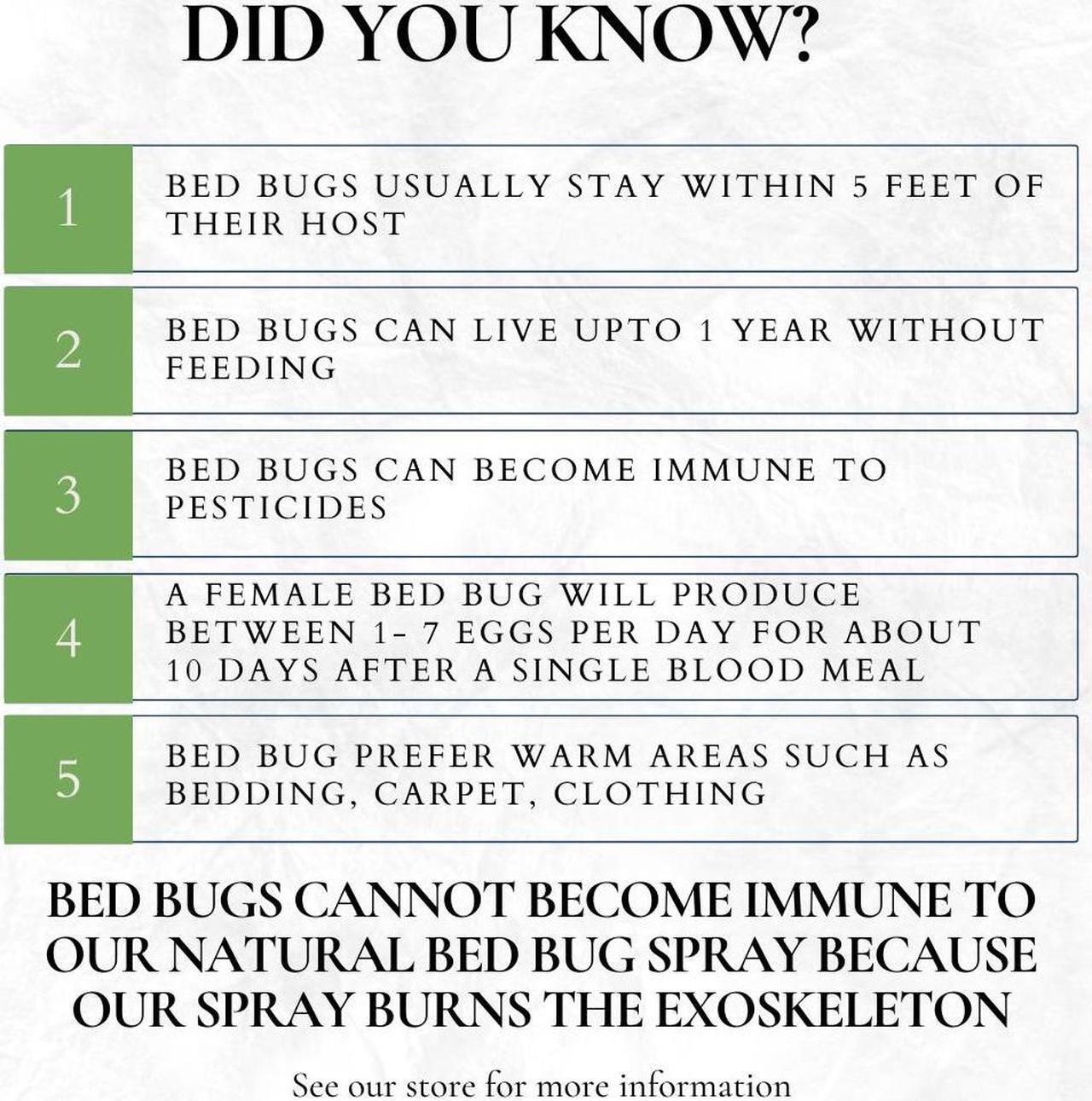 Alt view image 2 of 7 - Hygea Natural Extra Strength Lice and Bed Bug DIY Kit- Non-Toxic, Odorless, Safe for children and pets, All water safe surfaces - Includes Bed Bug Spray and Bed Bug Travel Spray TSA approved size