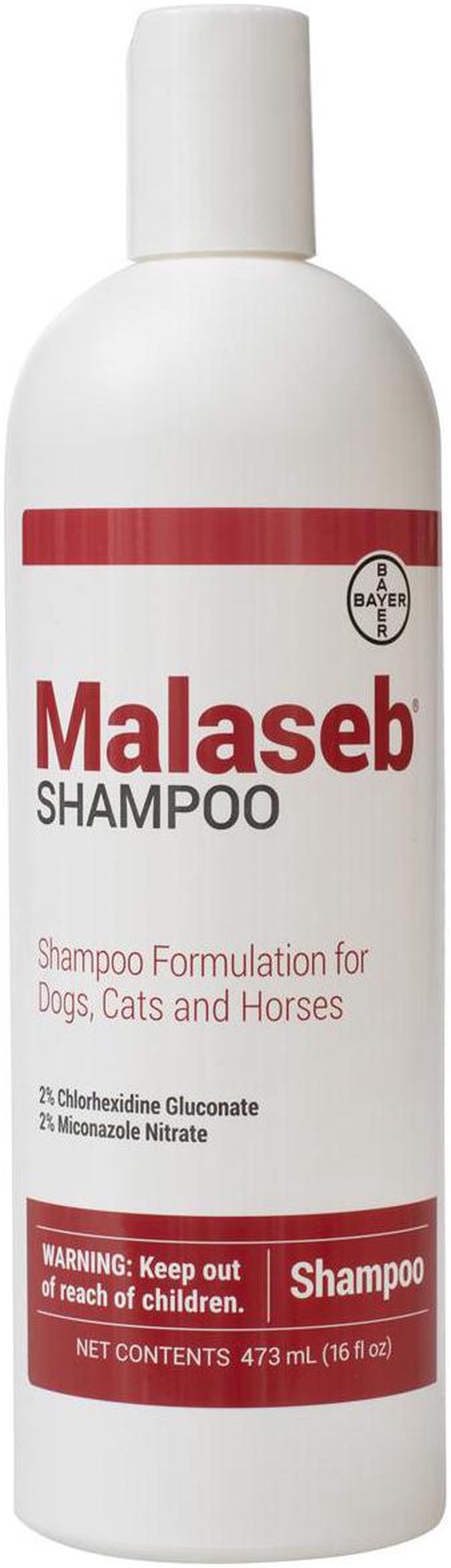 Main image of Malaseb Shampoo Medicated Shampoo Formulation for Dogs, Cats, and Horses - 16 oz