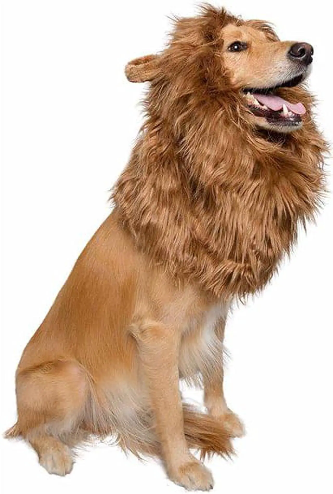Alt view image 4 of 4 - Dog Lion Mane Halloween Costume Lion Mane for Large and Small Dogs