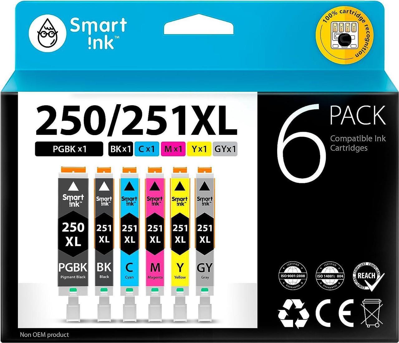 Smart Ink Compatible Ink Cartridge Replacement for Canon PIXMA CLI-251XL PGI-250XL PGI 250 CLI 251 ( 1PGBK & 1BK/C/M/Y/GY 6 Combo Pack ) to use with iP8720 MG6320 MG7120 MG7520