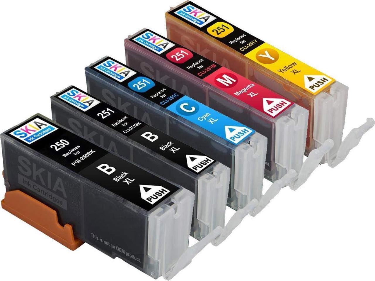 Skia Ink Cartridges Compatible Ink Cartridge Replacement for Canon CLI-251, PGI-250, PGI-250XL, CLI-251XL (Pigment Black / Black / Cyan / Magenta / Yellow / 5 Pack)