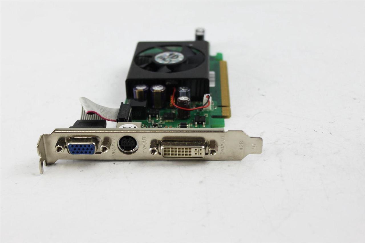 Main image of Palit 8400GS Graphics Card High Profile 256MB DDR2 XNE+8400S+TD26-PM8D86