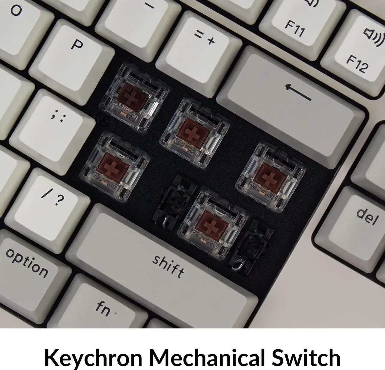 Alt view image 4 of 7 - Keychron C2 Full Size Wired Mechanical Keyboard Compatible with Mac, Keychron Brown Switch, 104 Keys ABS Retro Color Keycaps Gaming Keyboard for Windows, USB-C Type-C Braid Cable
