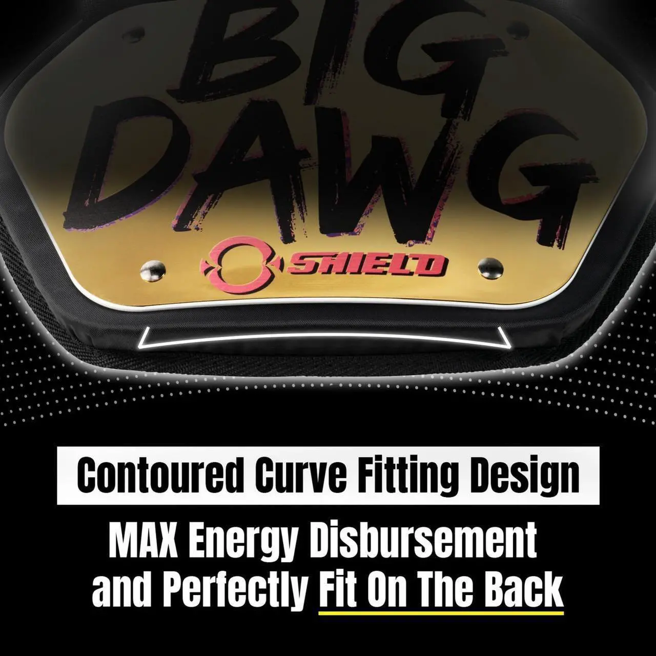 Alt view image 4 of 6 - O Shield BIG DAWG Golden Chrome Football back plate, Lower back pads for football -Youth Fit