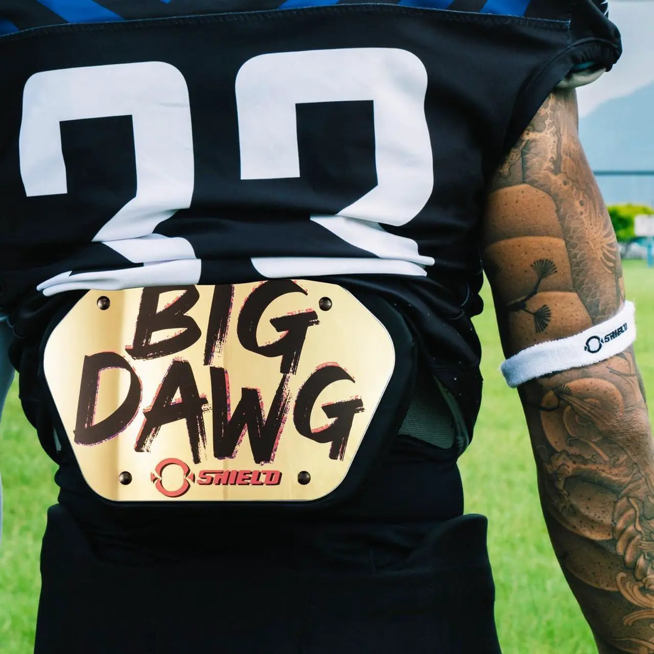 Alt view image 6 of 6 - O Shield BIG DAWG Golden Chrome Football back plate, Lower back pads for football -Youth Fit