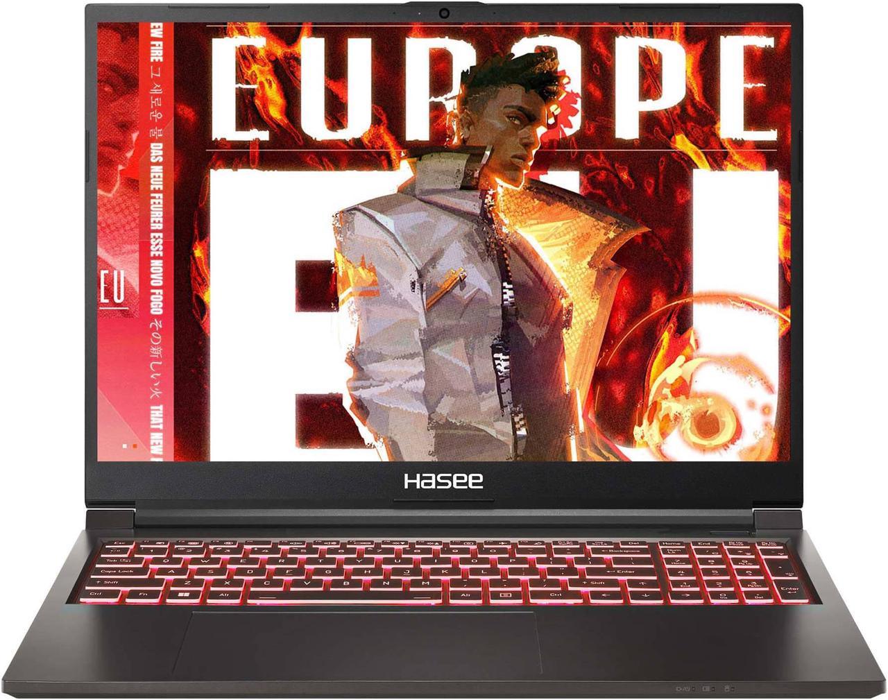 Hasee TX (16'', i9-13900HX, RTX4060), Gaming Laptop, i9-13900HX 5.4GHz, 16G DDR5 5600MHz RAM, 1T NVMe PCIe4.0 SSD, RTX4060 8G GDDR6, 16'' 2.5K 165Hz IPS Display, RGB KB,WF6,BT5.2,Win11,BlackHole Black