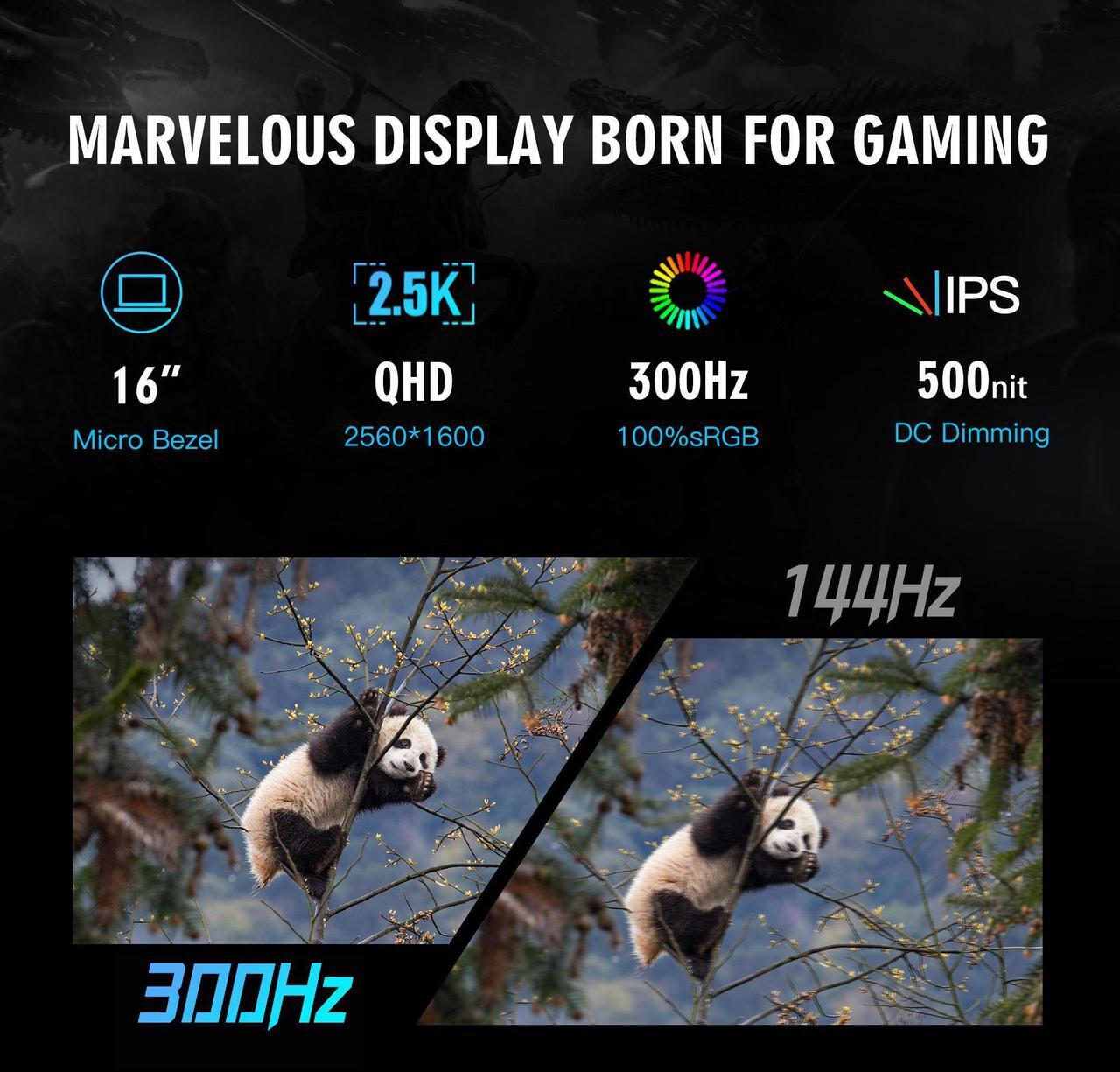 Alt view image 6 of 7 - Hasee T8 Pro-16'' GeForce RTX 5070 Ti Laptop GPU, Intel i7-14700HX-5.5GHz, AI Ready Gaming Laptop, 32GB DDR5 RAM, 1TB SSD, 16'' 300Hz QHD+ 100%sRGB IPS, RGB KB, WiFi7,BT5.4,Win11 Home