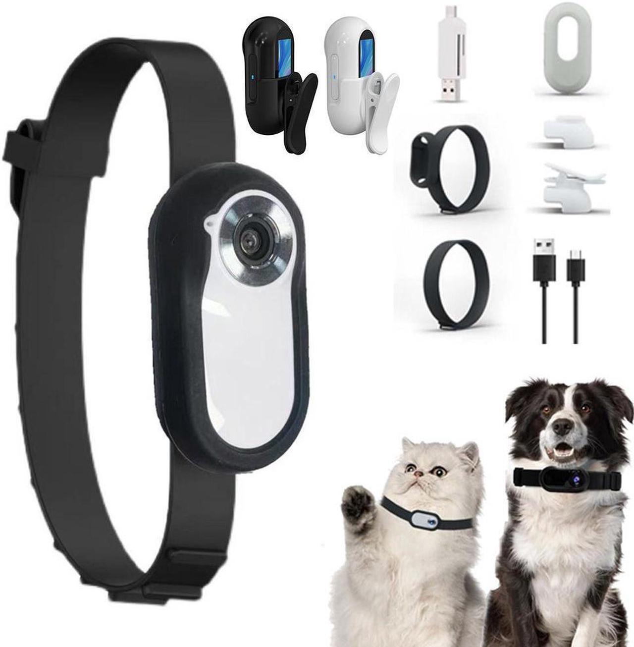 Main image of Pet Collar Camera HD 1080p Mini Sports Camera With Screen Video Recording Outdoor Wireless Camera Collar Pet Cat Safety Supplies