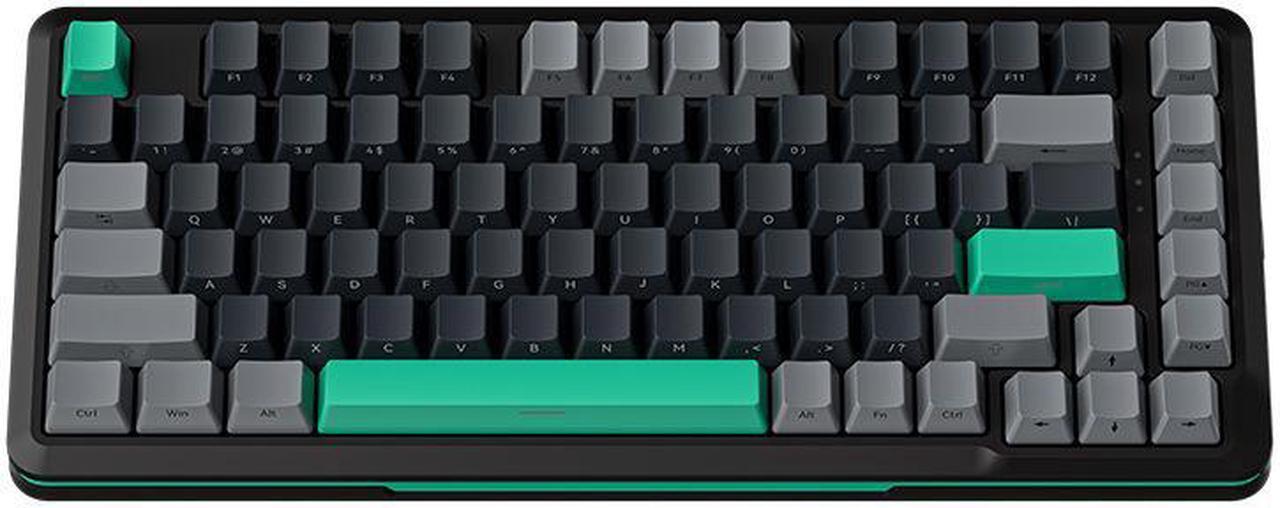 WSIRAK Custom S82 Wired Swappable 3pin Switch keyboard Mechanical 75% Gasket LED Backlit Gaming Mechanical Keyboard 82 Keys Black / Green