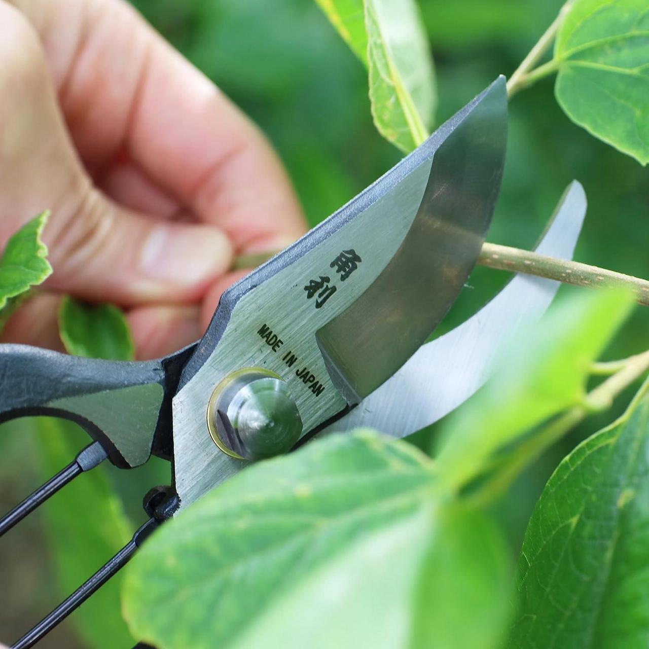Alt view image 6 of 7 - KAKURI Japanese Pruning Shears for Gardening Heavy Duty 8", Made in JAPAN, Professional Garden Bypass Pruners with Leather Sheath, Hand Forged Japanese Carbon Steel, Black