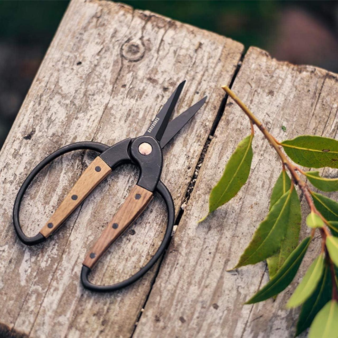 Alt view image 6 of 7 - Barebones Garden Scissors - Walnut Scissors - Garden Supplies and Indoor Plant Accessories - Plant Shears with Wide Handles - Comfortable Fit Trimming Shears (Small)