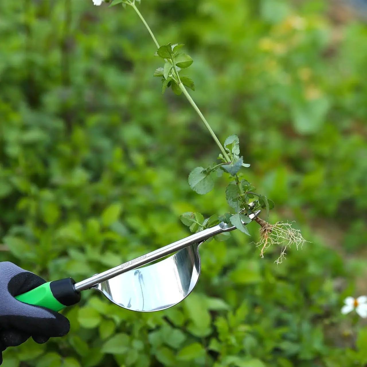 Alt view image 2 of 7 - Grootpow HW1 Hand Weeder Tool, Weed Puller Tool with Ergonomic Handle for Garden - Durable Unique Lever Design Dandelion Weeder Tool with V-Shaped Forks for Easy Weed Removal - in Gift Box