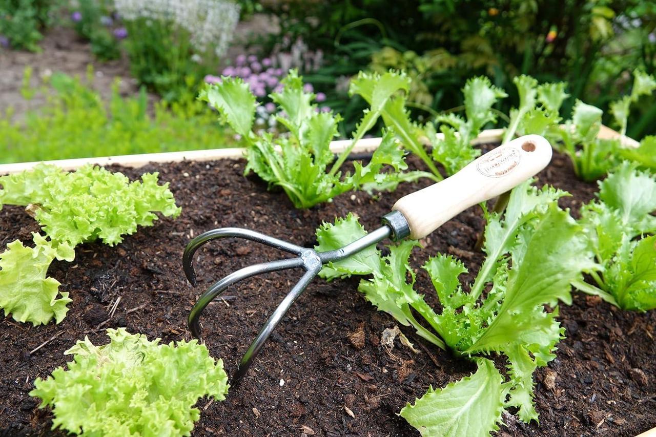 Alt view image 2 of 6 - Tierra Garden DeWit 3-Tine Cultivator with Short Handle, Works as Garden Hoe and Tiller (31-0904)
