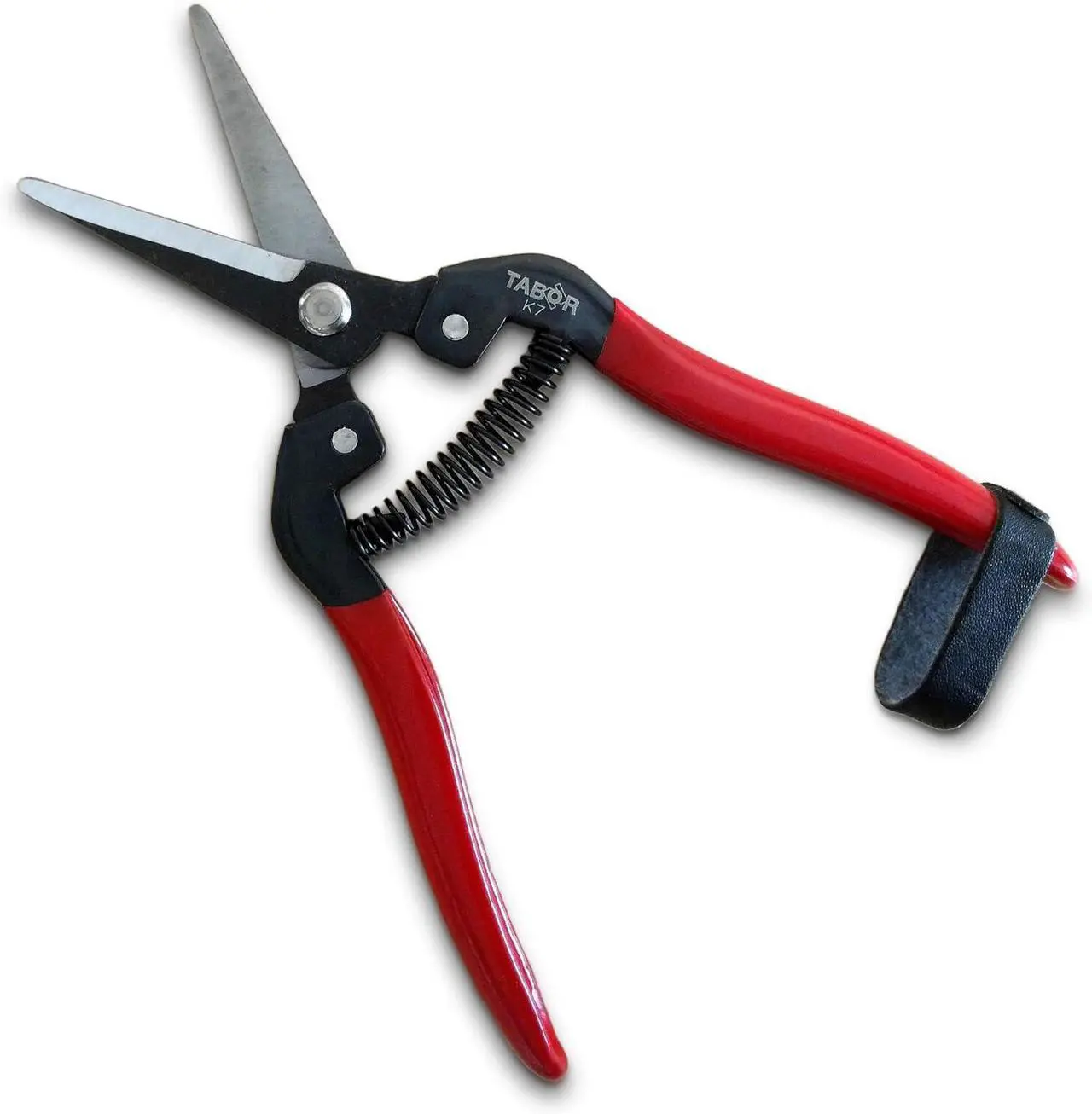 Tabor Tools K77A Pruning Scissors