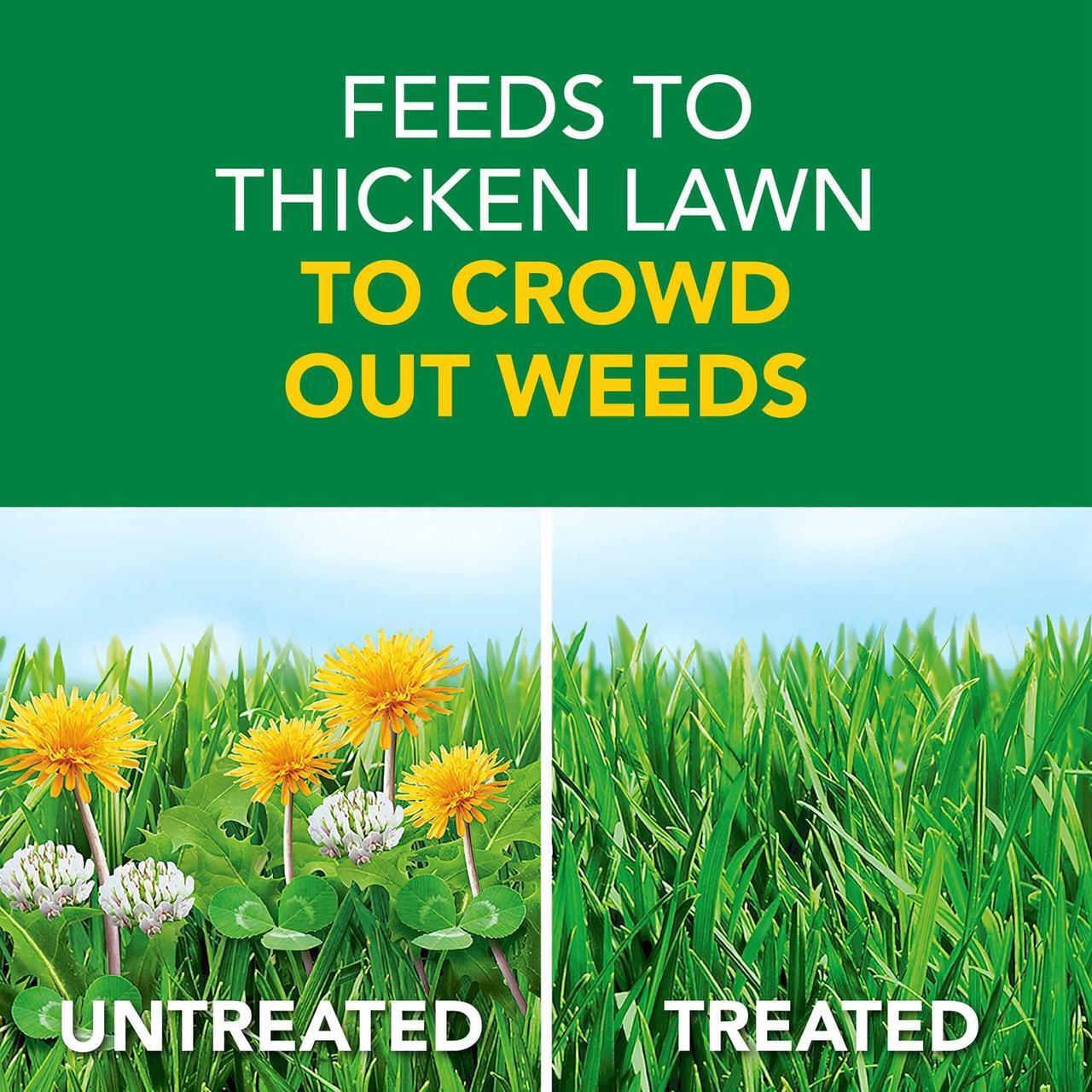 Alt view image 4 of 7 - Scotts Turf Builder Weed & Feed3, Weed Killer Plus Lawn Fertilizer, Controls Dandelion and Clover, 15,000 sq. ft., 42.87 lbs.