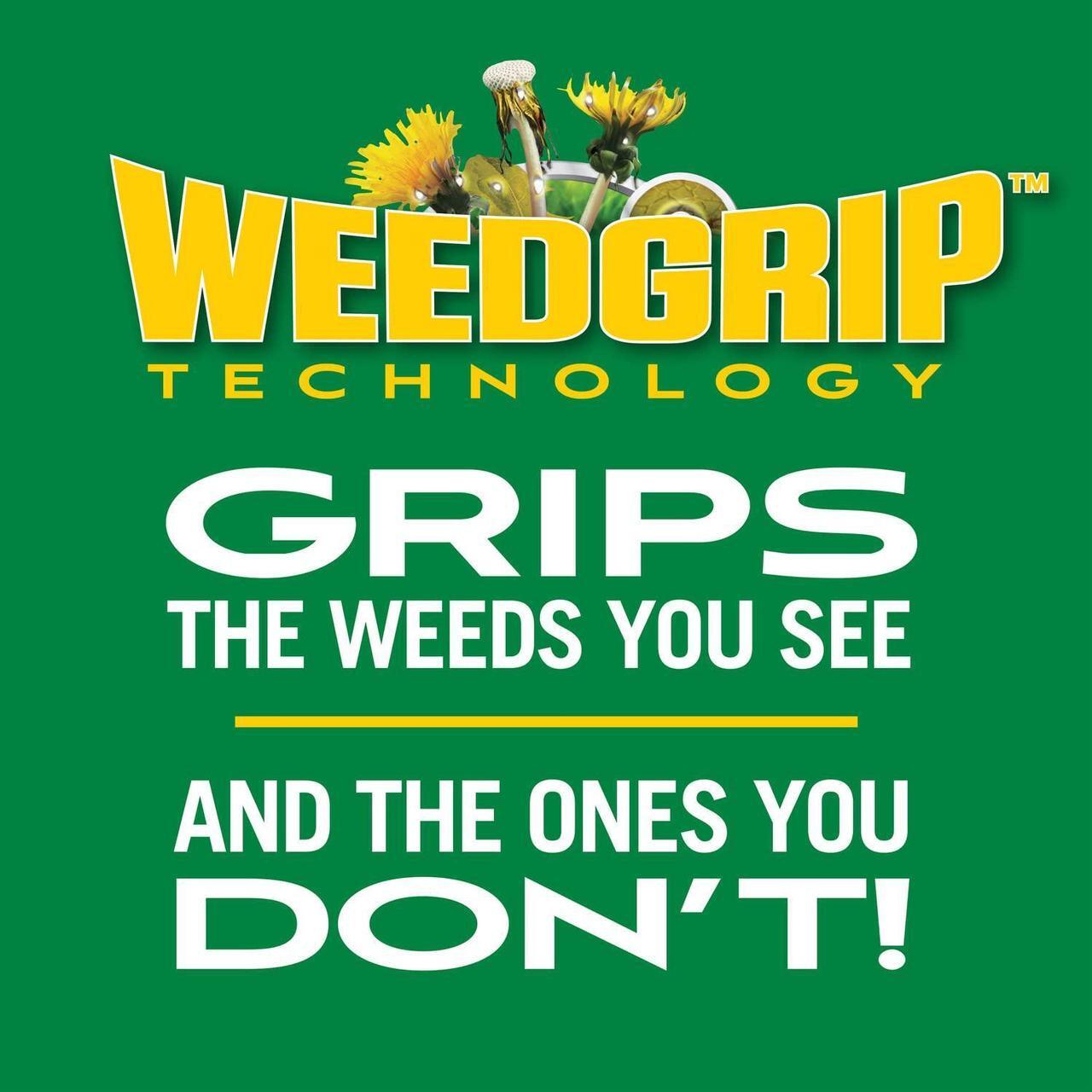 Alt view image 6 of 7 - Scotts Turf Builder Weed & Feed3, Weed Killer Plus Lawn Fertilizer, Controls Dandelion and Clover, 15,000 sq. ft., 42.87 lbs.
