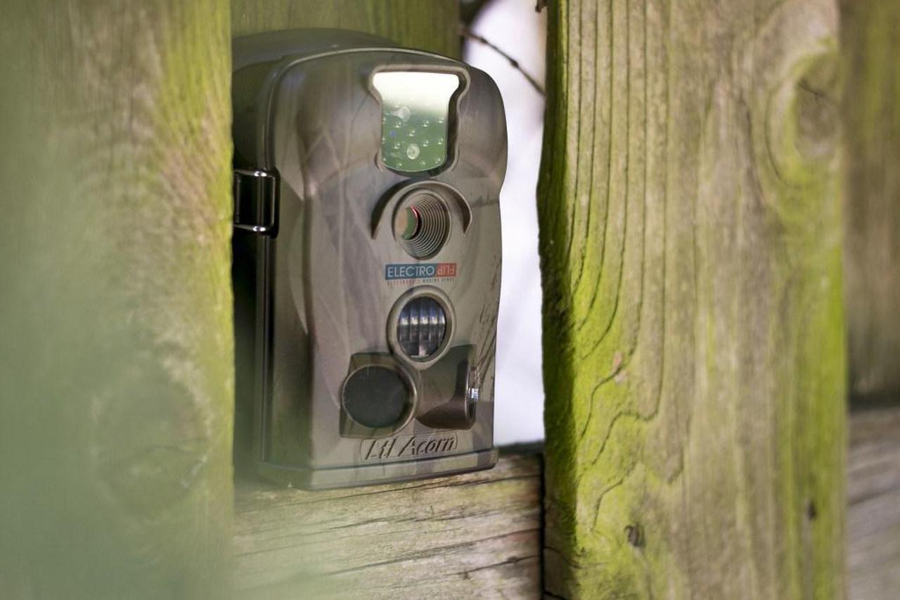 Alt view image 5 of 6 - Mountable Infrared Motion Detection Camera Security Day Night Camp Surveillance