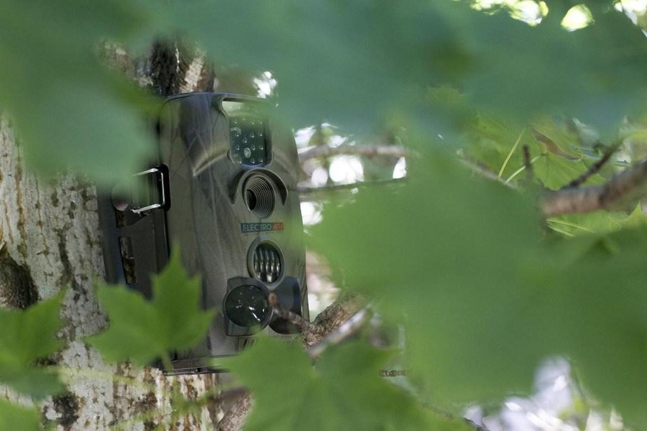 Alt view image 6 of 6 - Mountable Infrared Motion Detection Camera Security Day Night Camp Surveillance