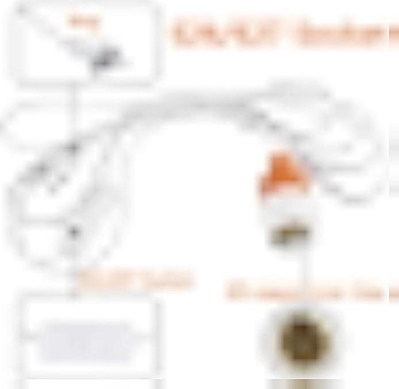 Alt view image 2 of 6 - Extension Hanging Lantern Cord Cable, E26/E27 LED Light Socket 9.8FT Extension Cord with On/Off Switch US AC Power Plug Bulb Socket, Orange, 1Pack, Waterproof Light Socket for Garage, Closet, Plants