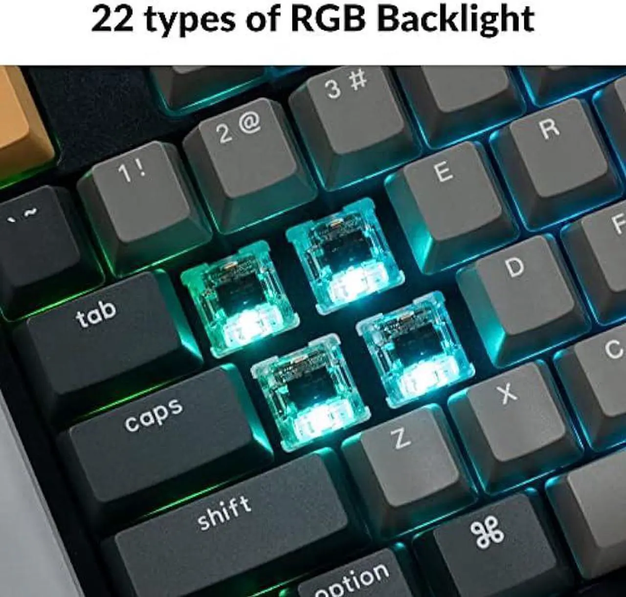 Alt view image 4 of 7 - Keychron C2 Pro Wired Custom Mechanical Keyboard Full Size Layout QMK/VIA Programmable Macro RGB Backlit with Hot-Swappable Keychron K Pro Brown Switch OEM Profile PBT Keycaps for Mac Windows Linux