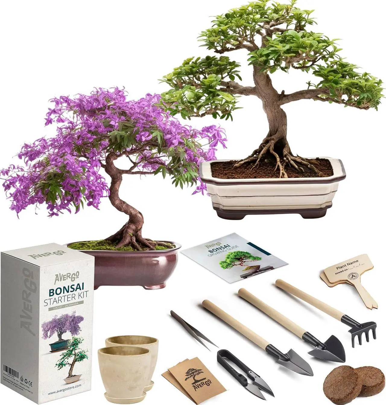 Main image of Bonsai Growing Seed Kit - 2X Japanese Bonsai Trees | Complete Indoor Starter Kit for Growing Bonsai Trees + Tools + Planters | Gardening Gifts for Women & Men