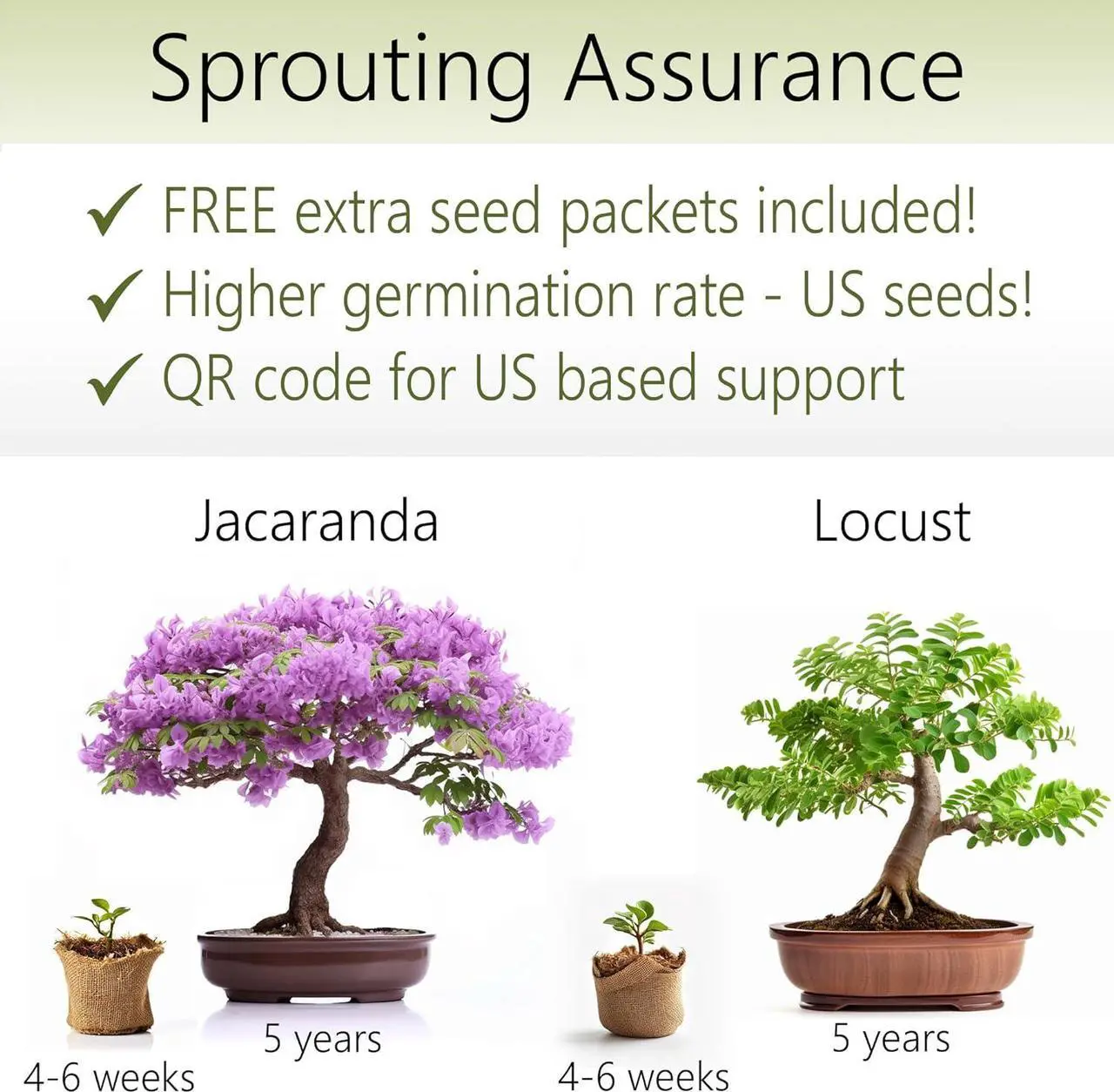 Alt view image 2 of 7 - Bonsai Growing Seed Kit - 2X Japanese Bonsai Trees | Complete Indoor Starter Kit for Growing Bonsai Trees + Tools + Planters | Gardening Gifts for Women & Men