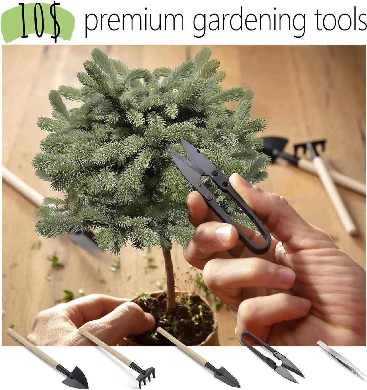 Alt view image 6 of 7 - Bonsai Growing Seed Kit - 2X Japanese Bonsai Trees | Complete Indoor Starter Kit for Growing Bonsai Trees + Tools + Planters | Gardening Gifts for Women & Men