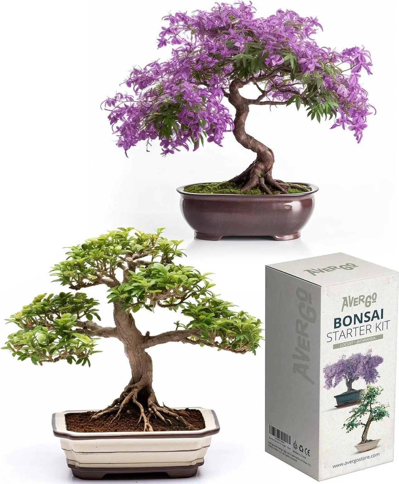 Alt view image 7 of 7 - Bonsai Growing Seed Kit - 2X Japanese Bonsai Trees | Complete Indoor Starter Kit for Growing Bonsai Trees + Tools + Planters | Gardening Gifts for Women & Men